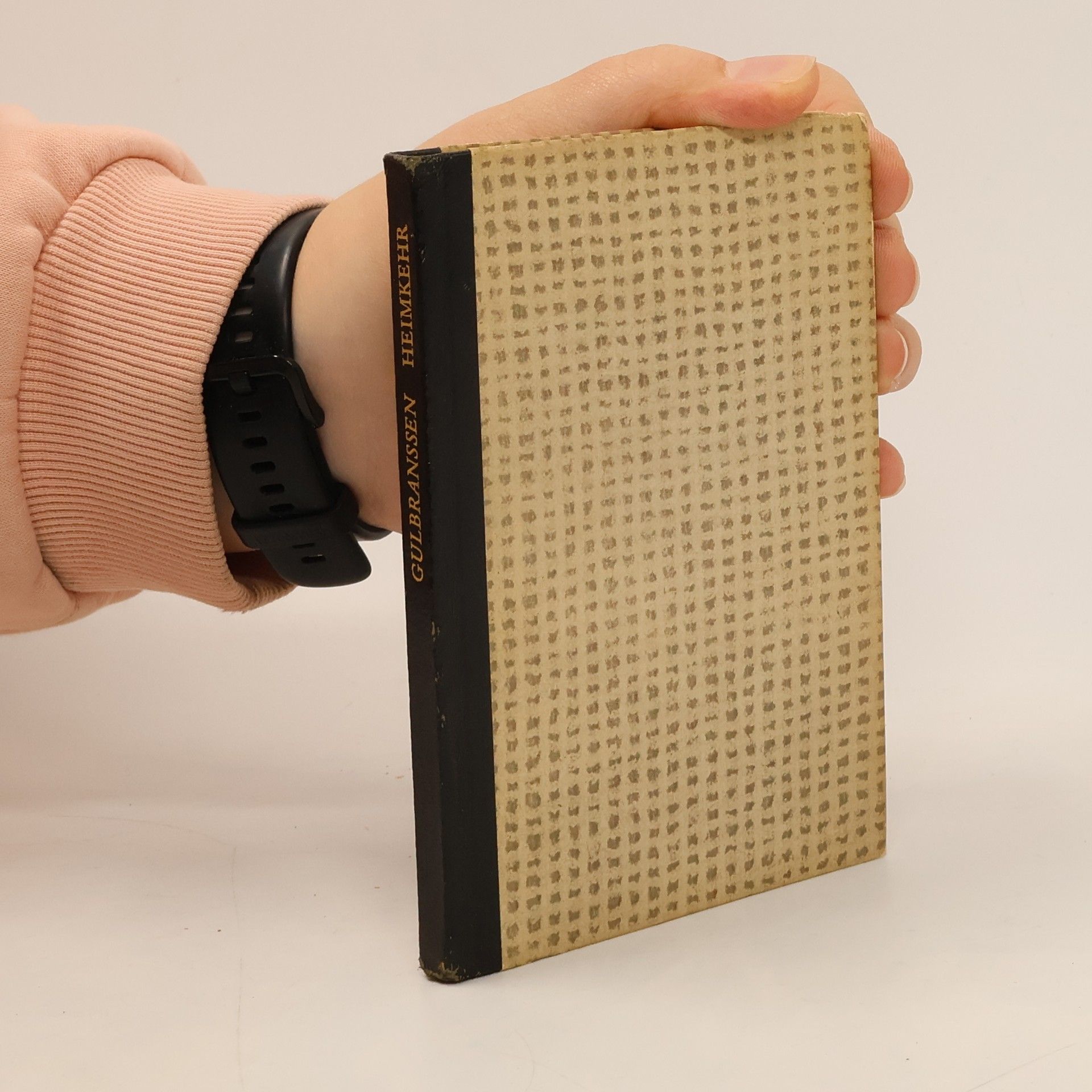 Heimkehr nach Björndal