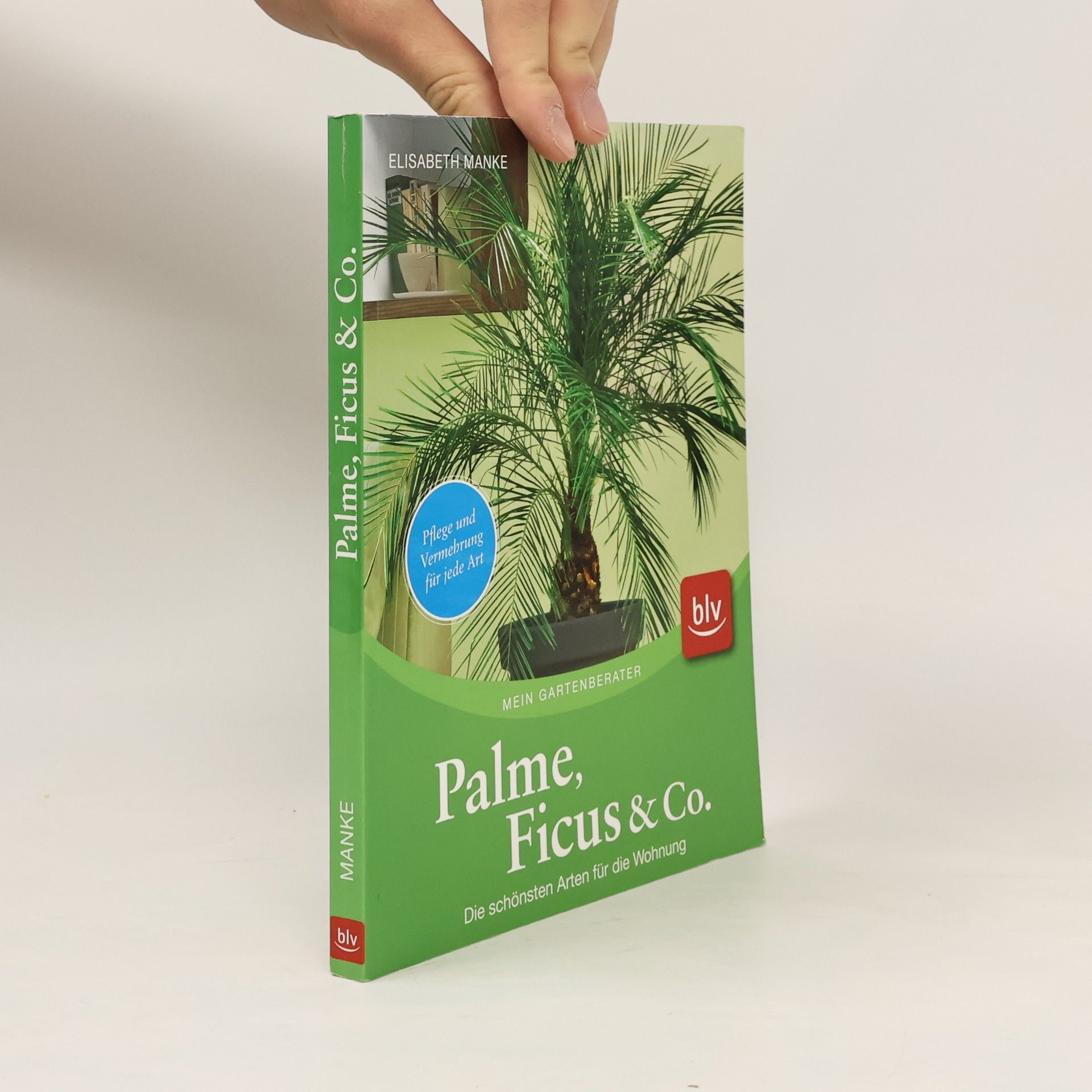 Elisabeth Manke Palme, Ficus & Co.