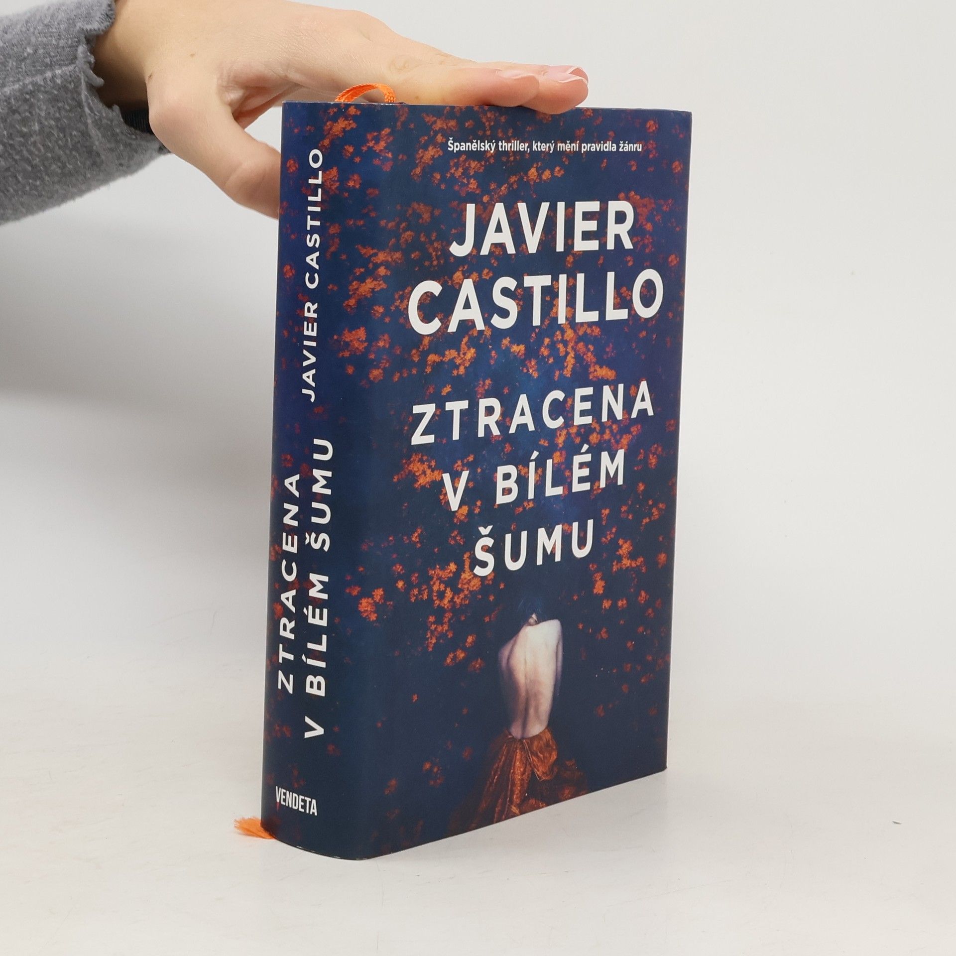 Javier Castillo Ztracena v bílém šumu