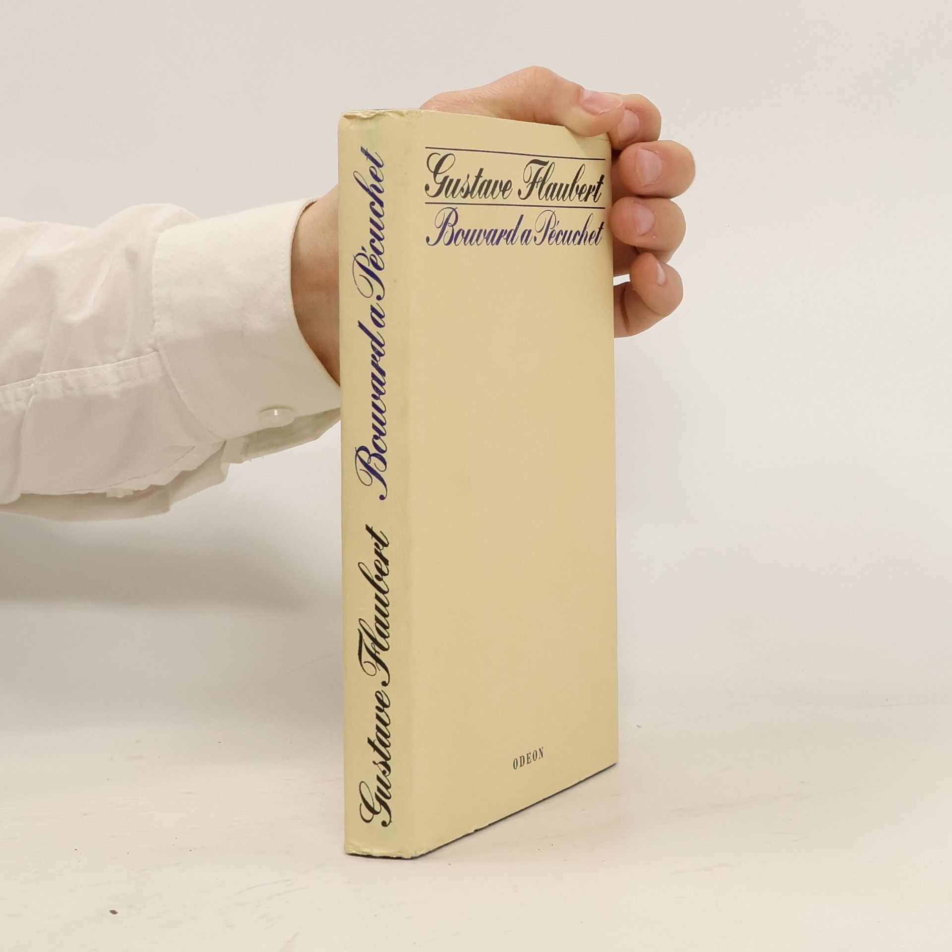 Gustave Flaubert Bouvard a Pécuchet