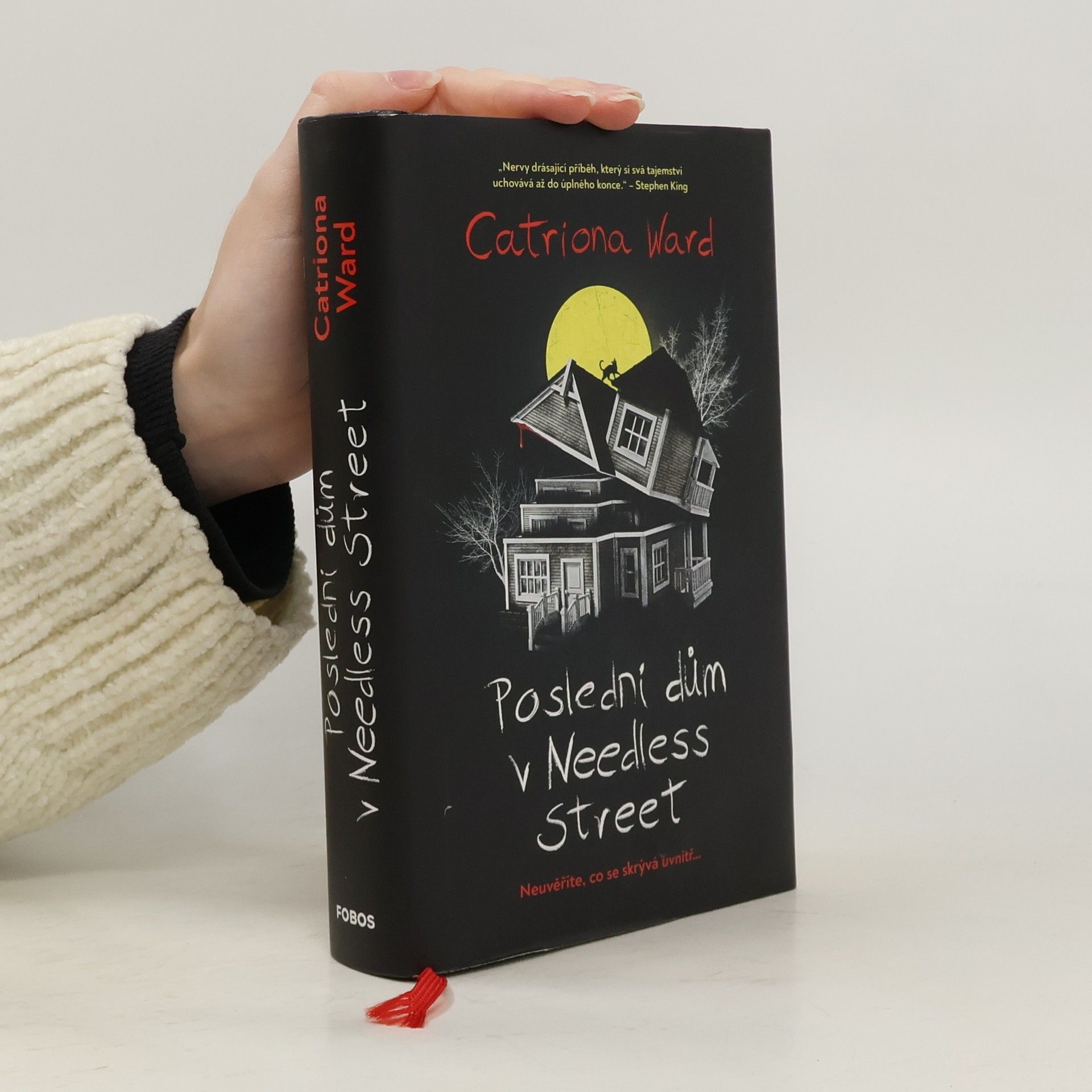 Poslední dům v Needless Street