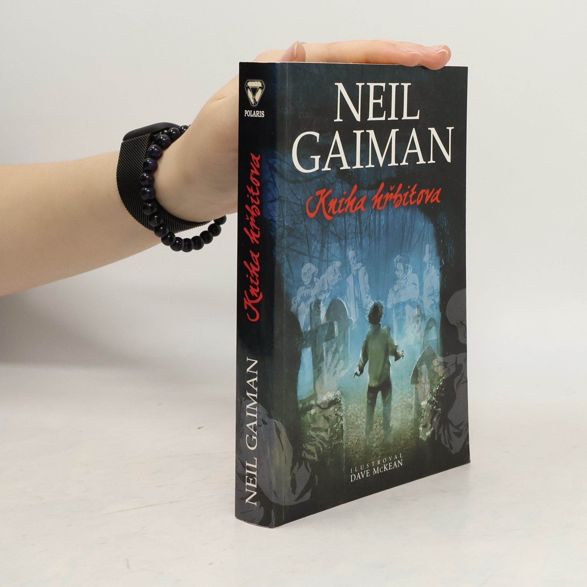 Neil Gaiman Kniha hřbitova