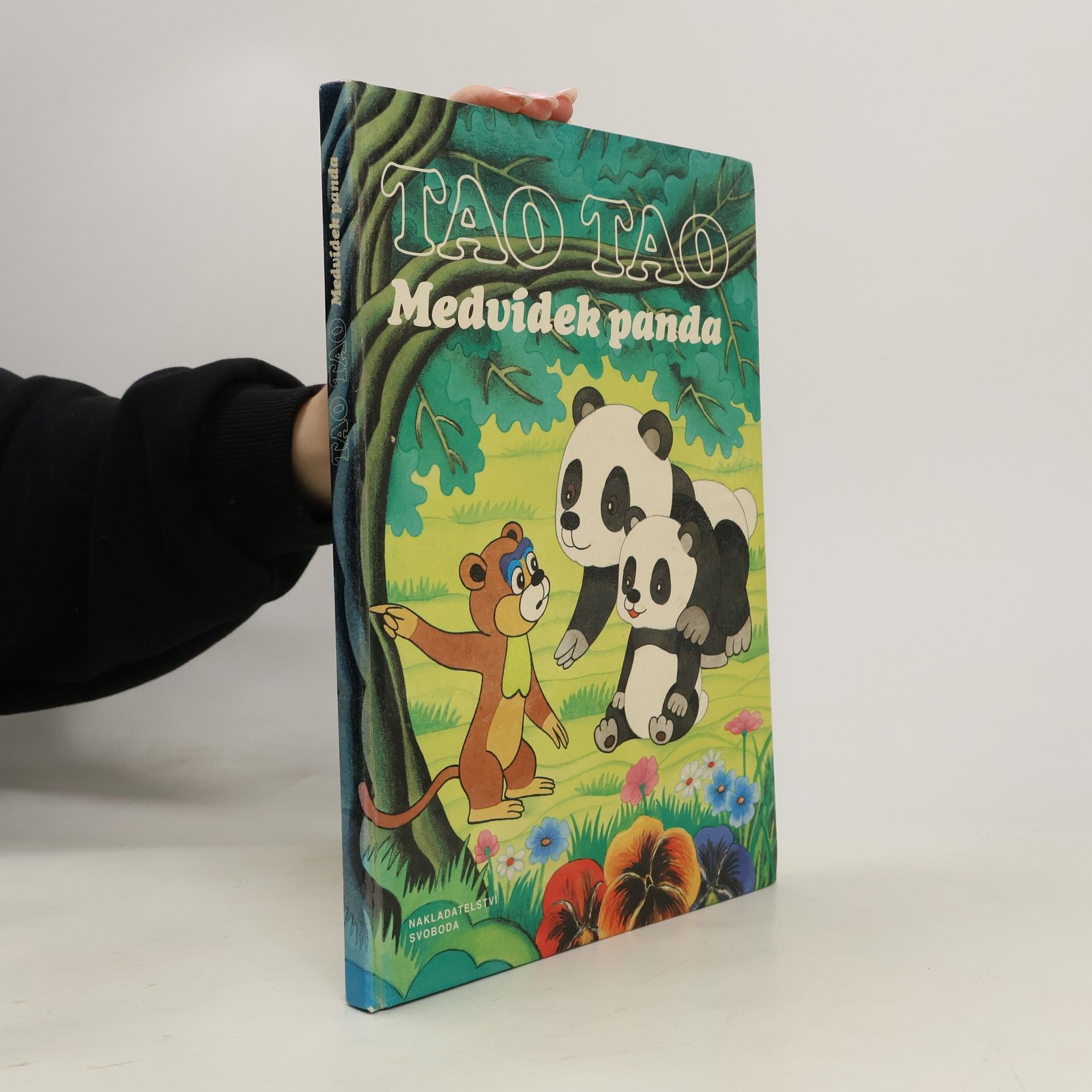 Kolektiv autorů Tao Tao. Medvídek panda
