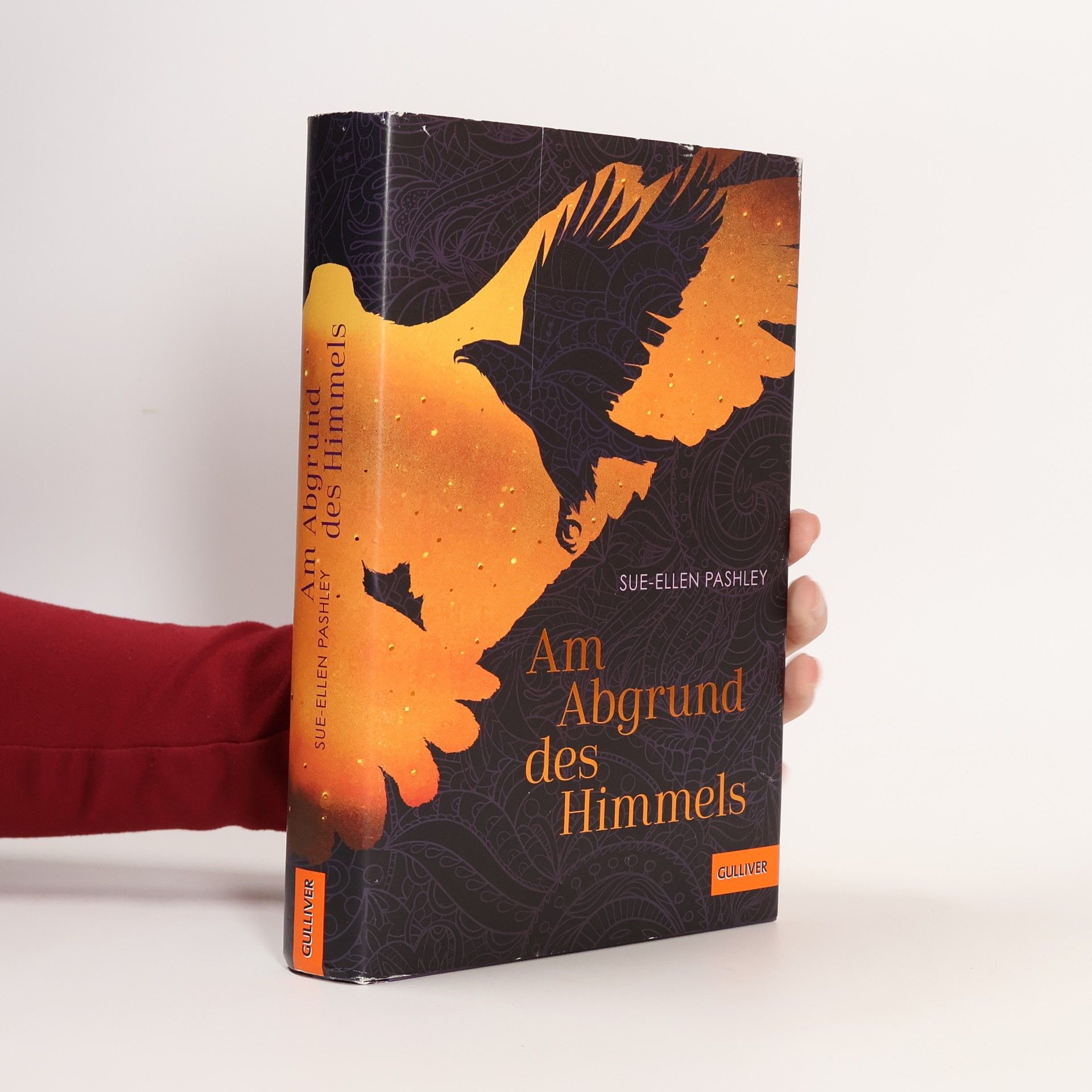 Sue Ellen Pashley Am Abgrund des Himmels