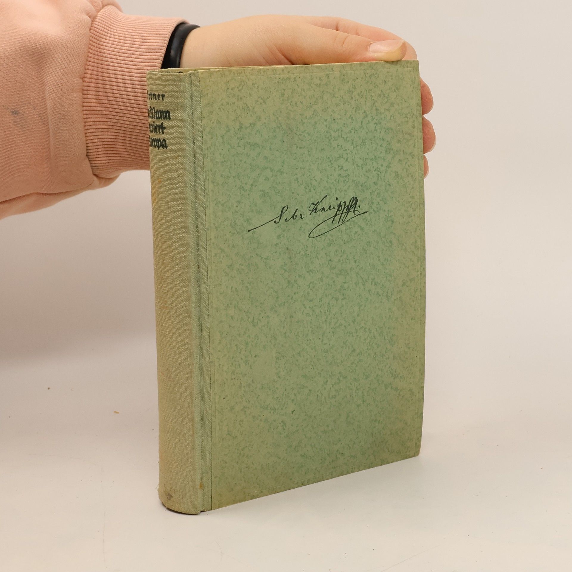 Ein Mann kuriert Europa