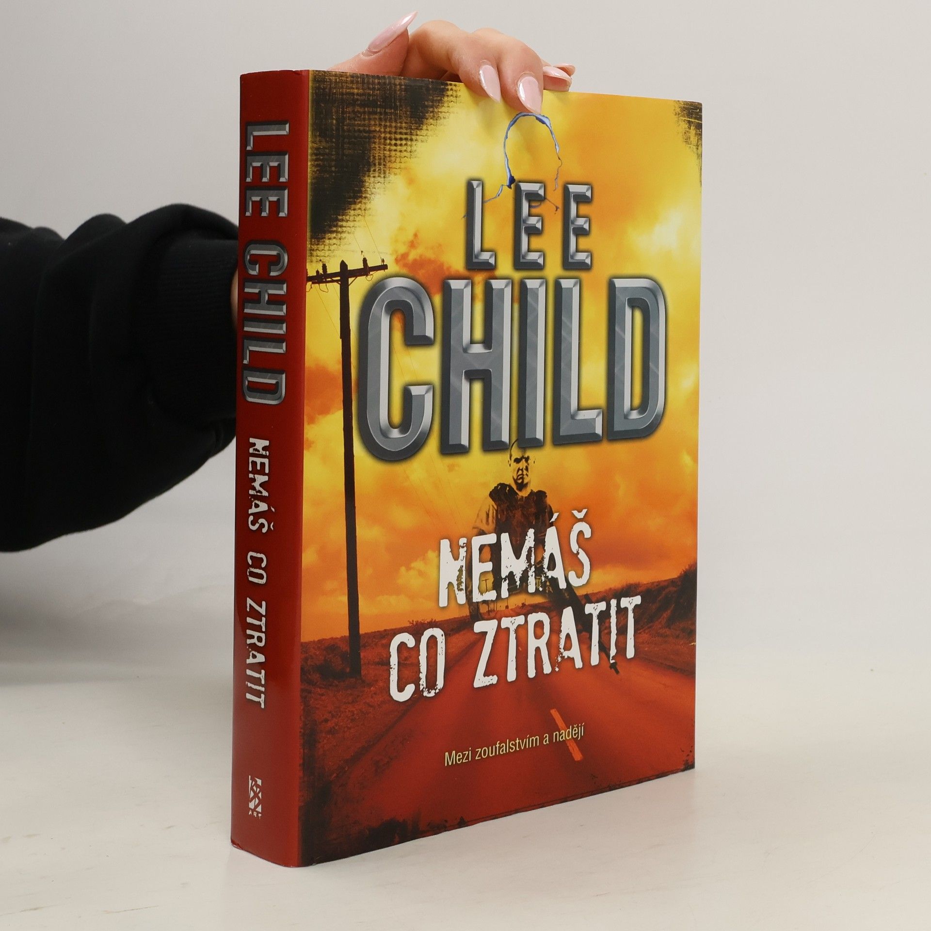 Lee Child Nemáš co ztratit