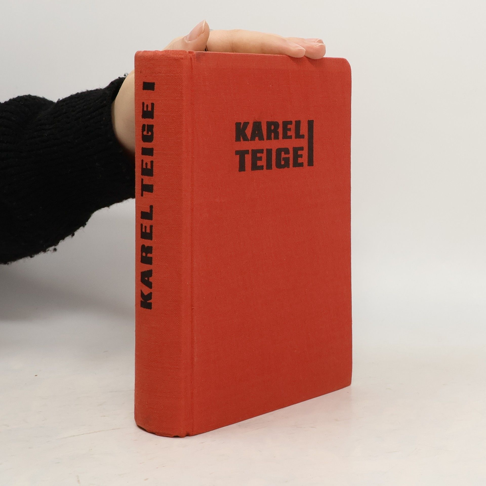 Svět stavby a básně. Studie z dvacátých let