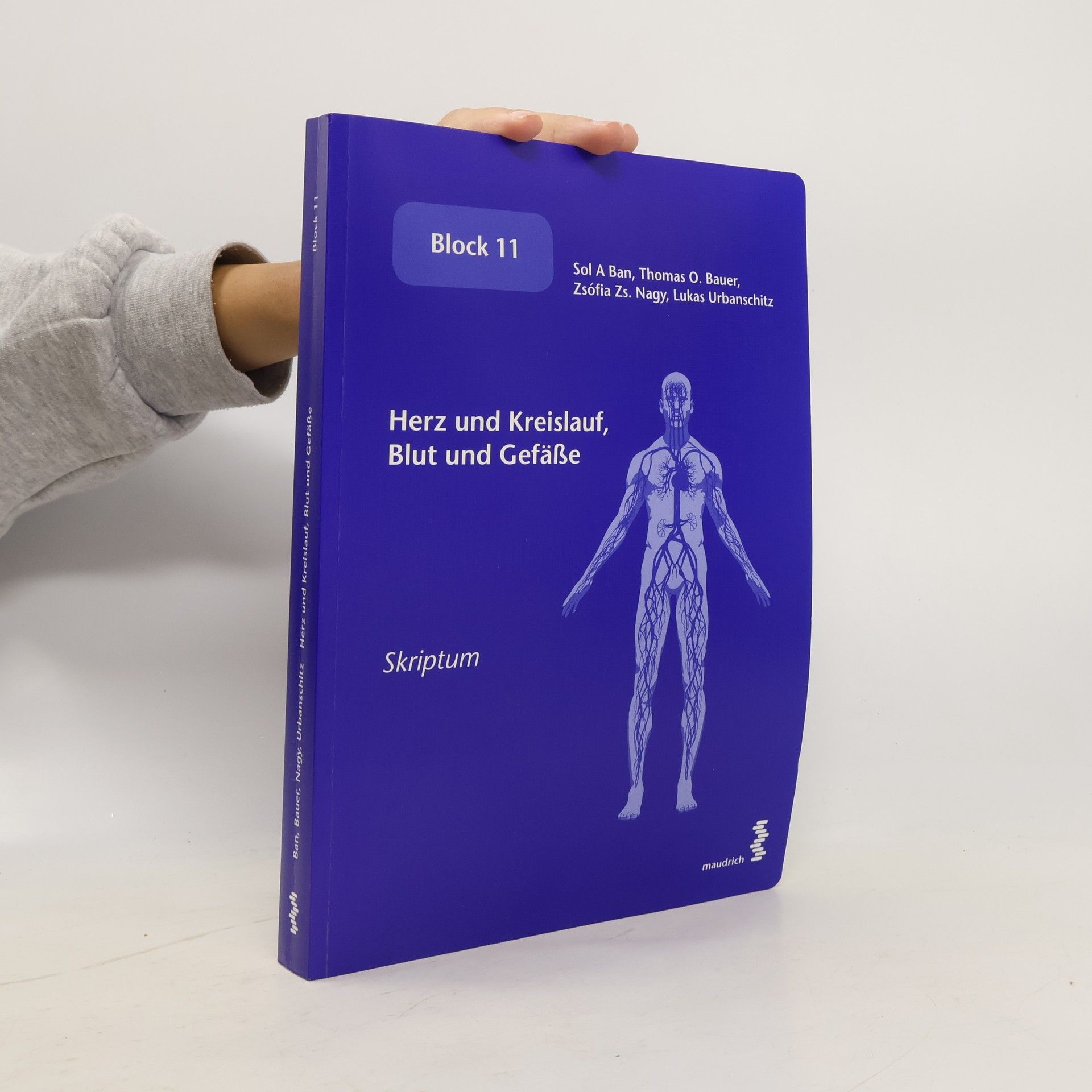 Herz und Kreislauf, Blut und Gefäße