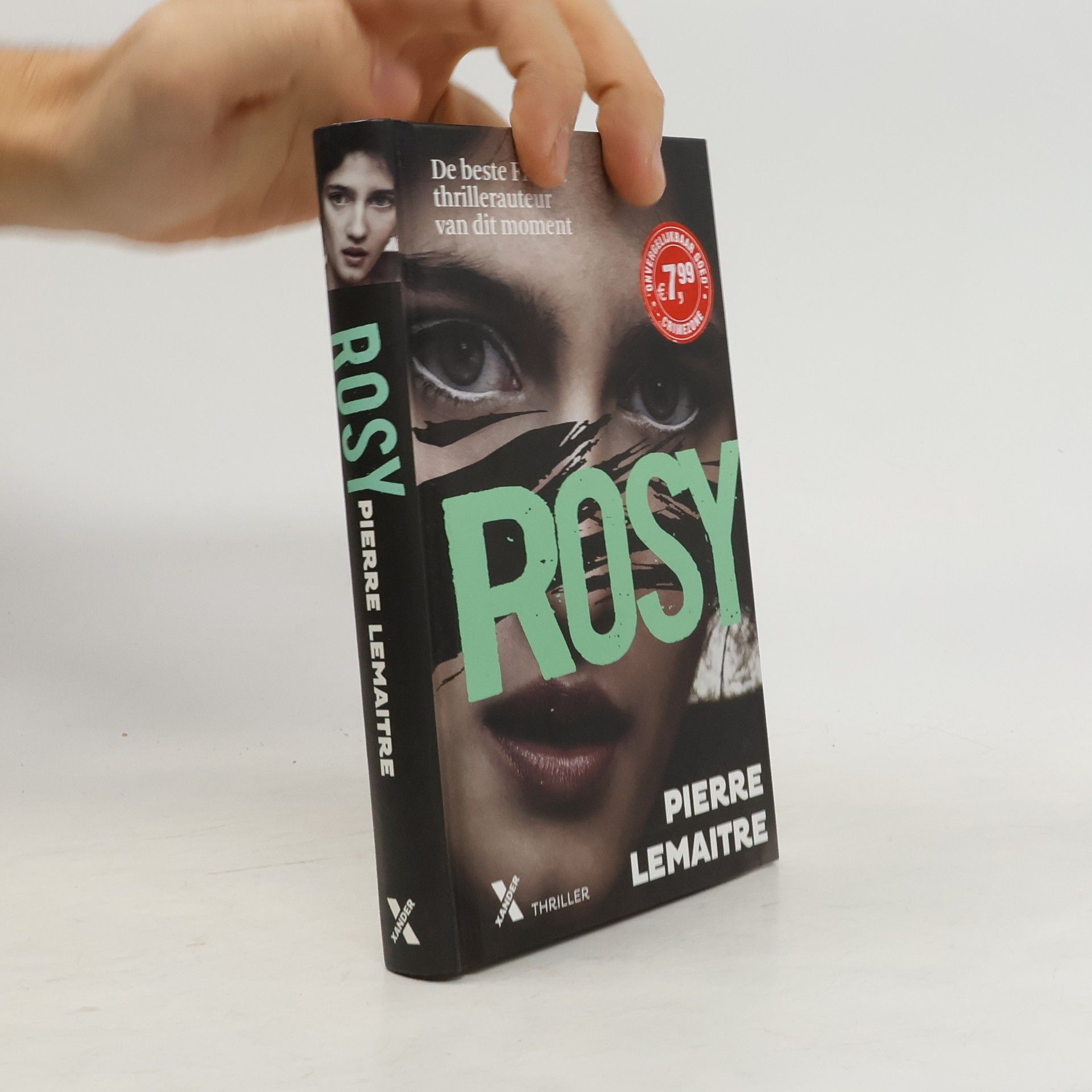 Pierre Lemaitre Rosy