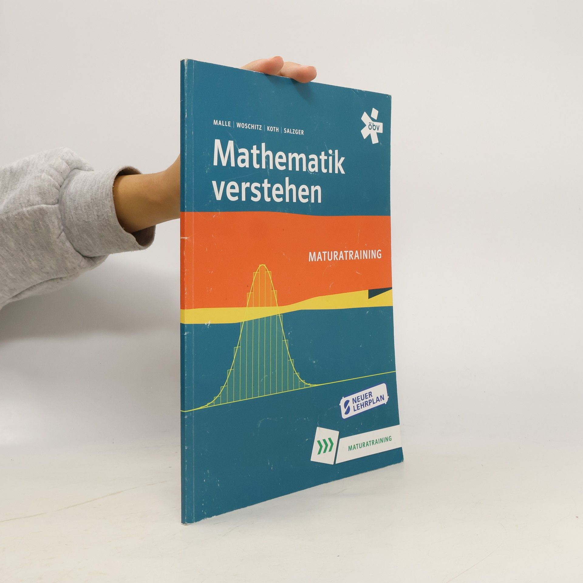 Günther Malle Mathematik verstehen
