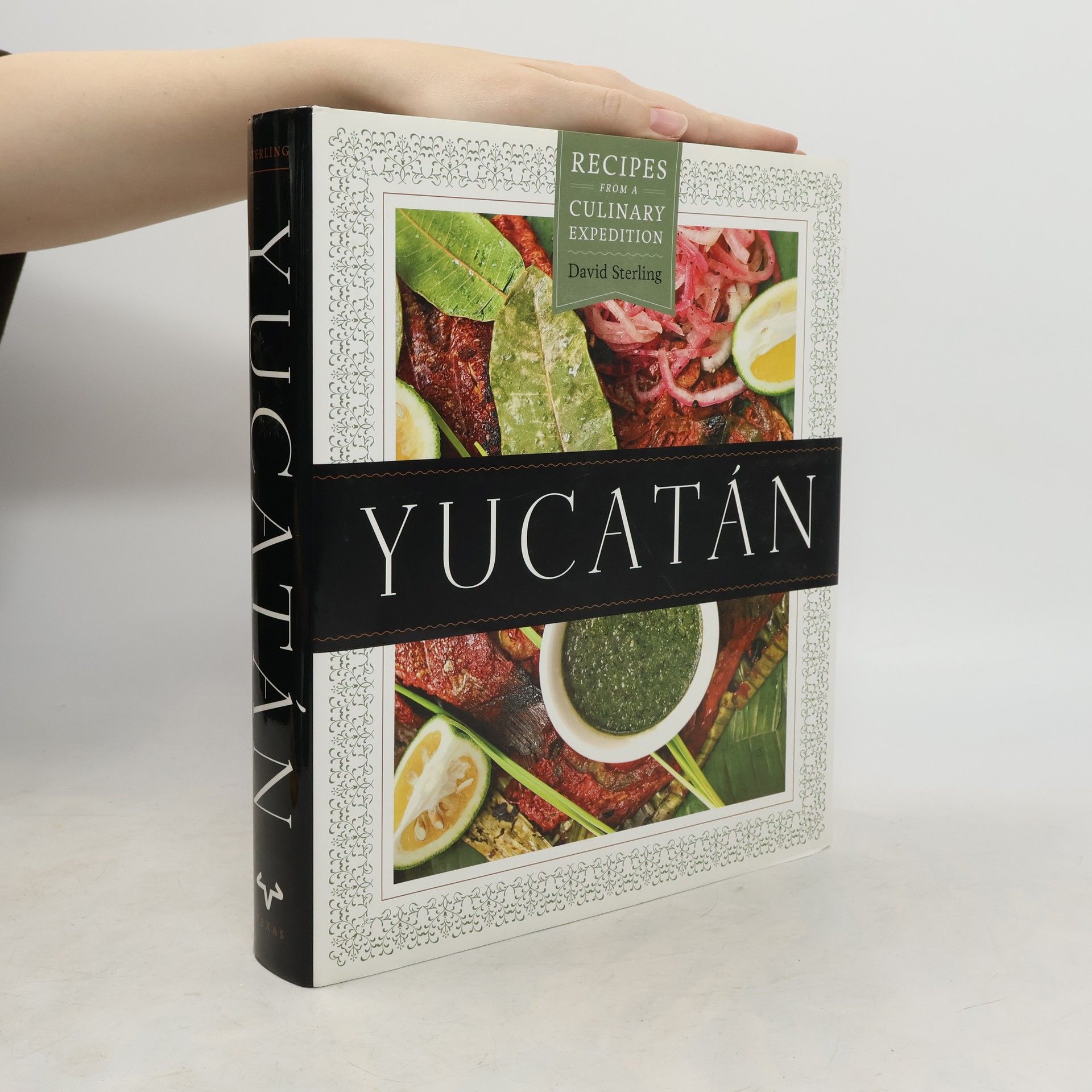 David Sterling Yucatán: Recipes from a Culinary Expedition