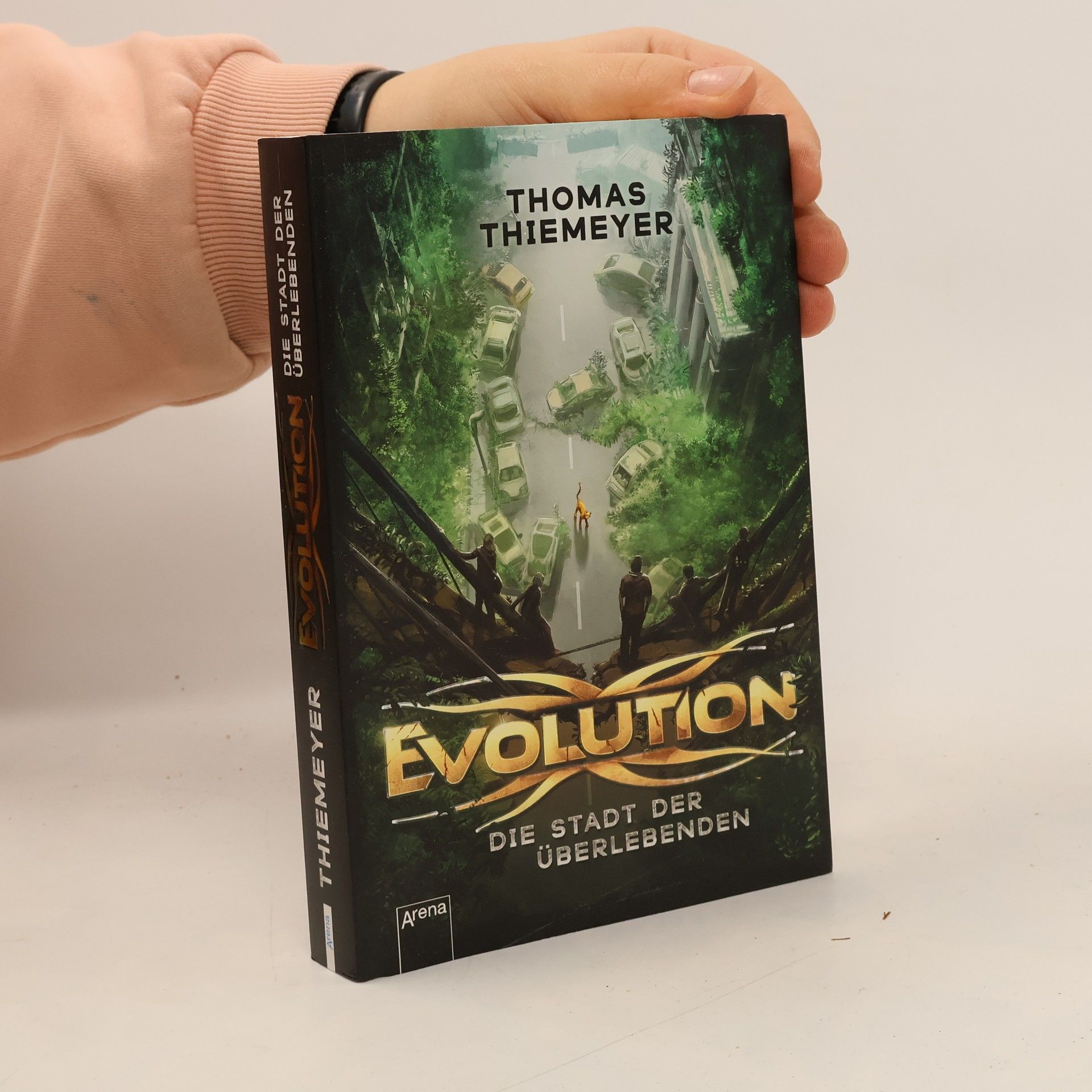 Thomas Thiemeier Evolution