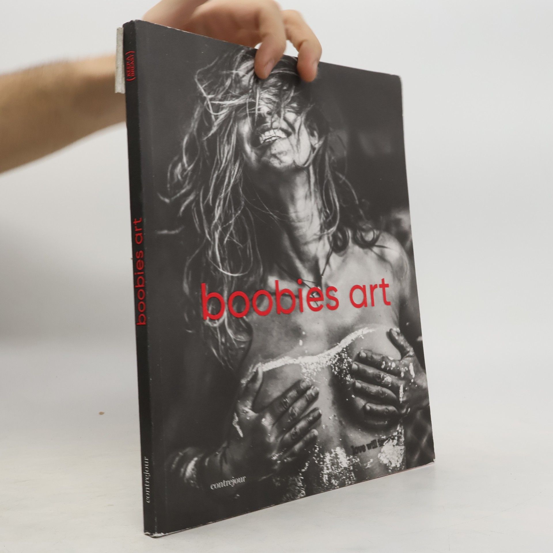 Florence Barucq Boobies Art