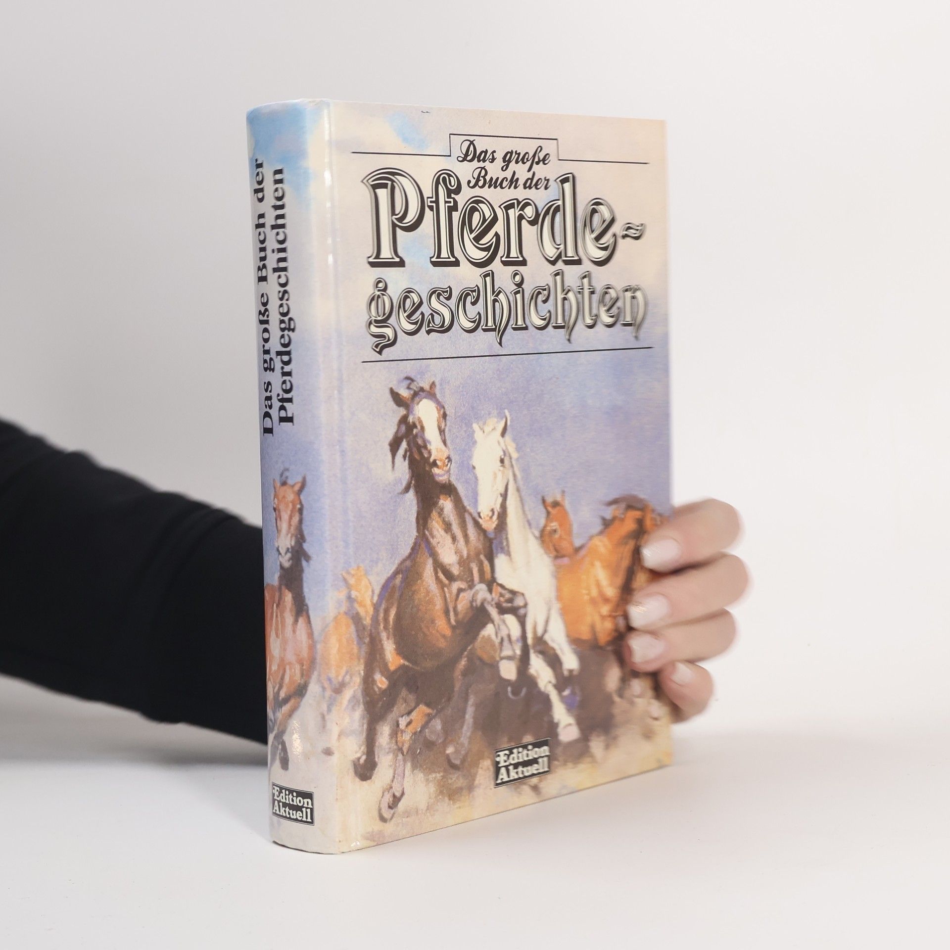 Autorenkollektiv Das grosse Buch der Pferdegeschichten