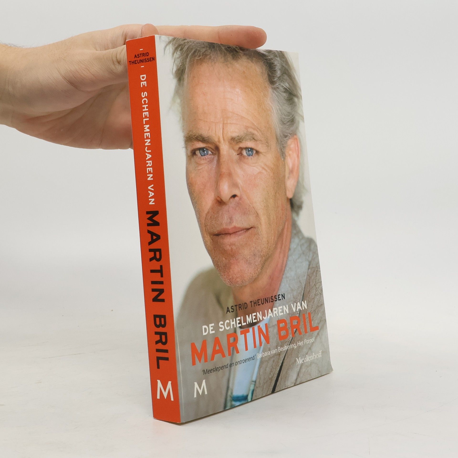 De schelmenjaren van Martin Bril / druk 2