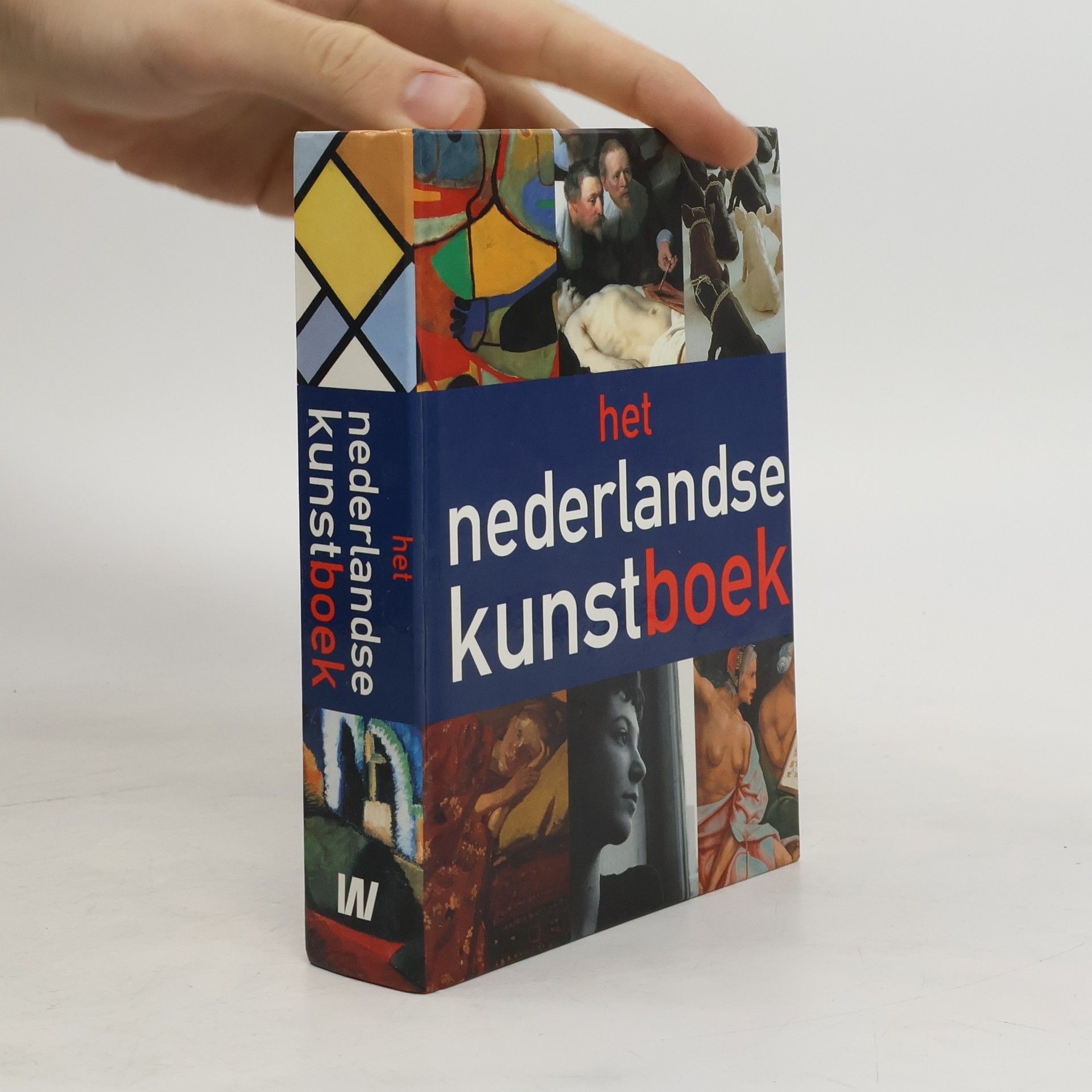 Colin Huizing Het Nederlandse kunstboek