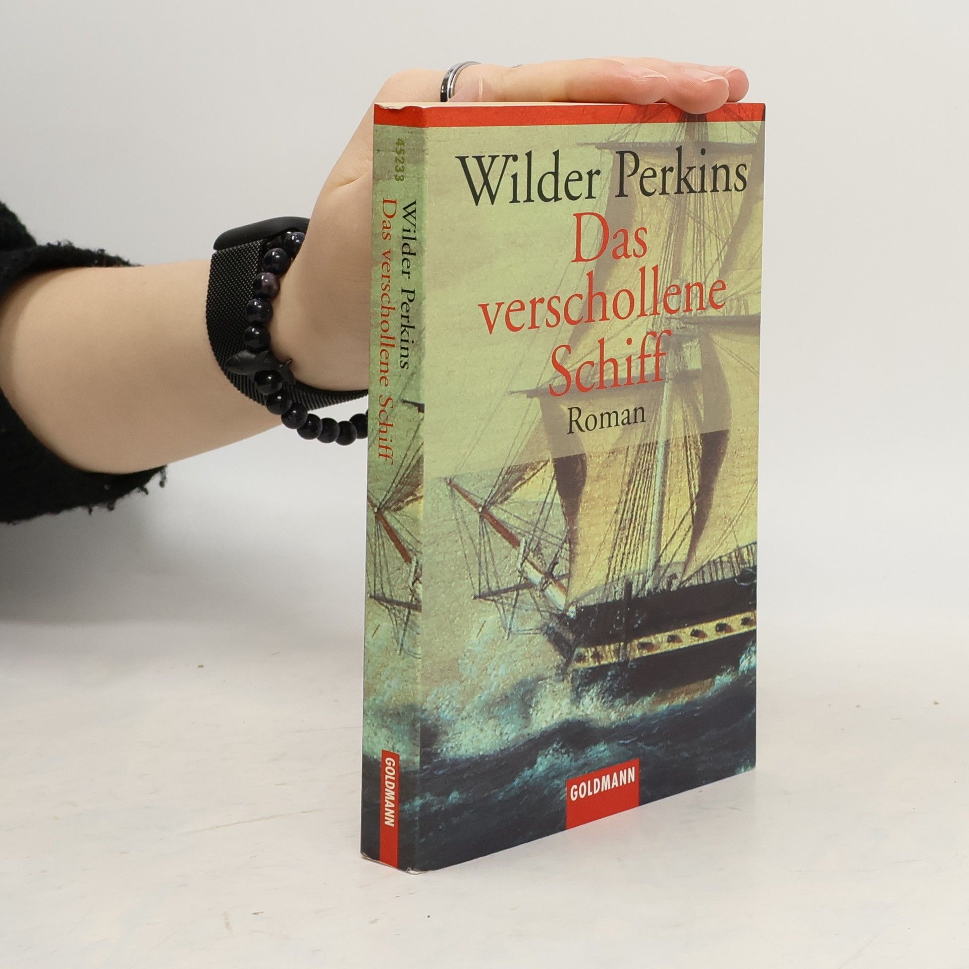 Das verschollene Schiff