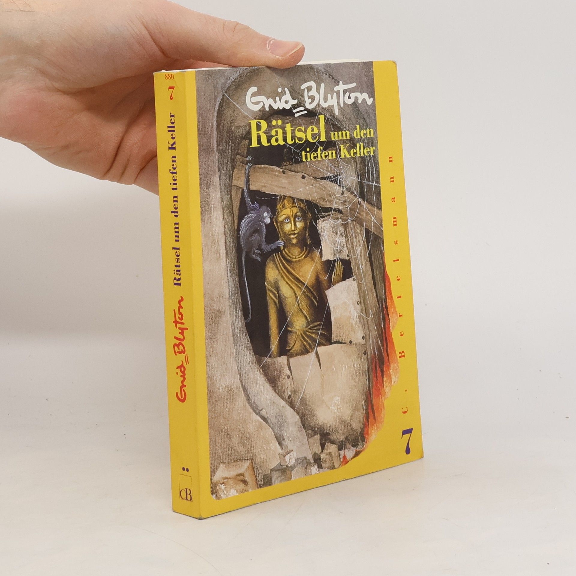 Enid Blyton Rätsel um den tiefen Keller. Ab 8 Jahren