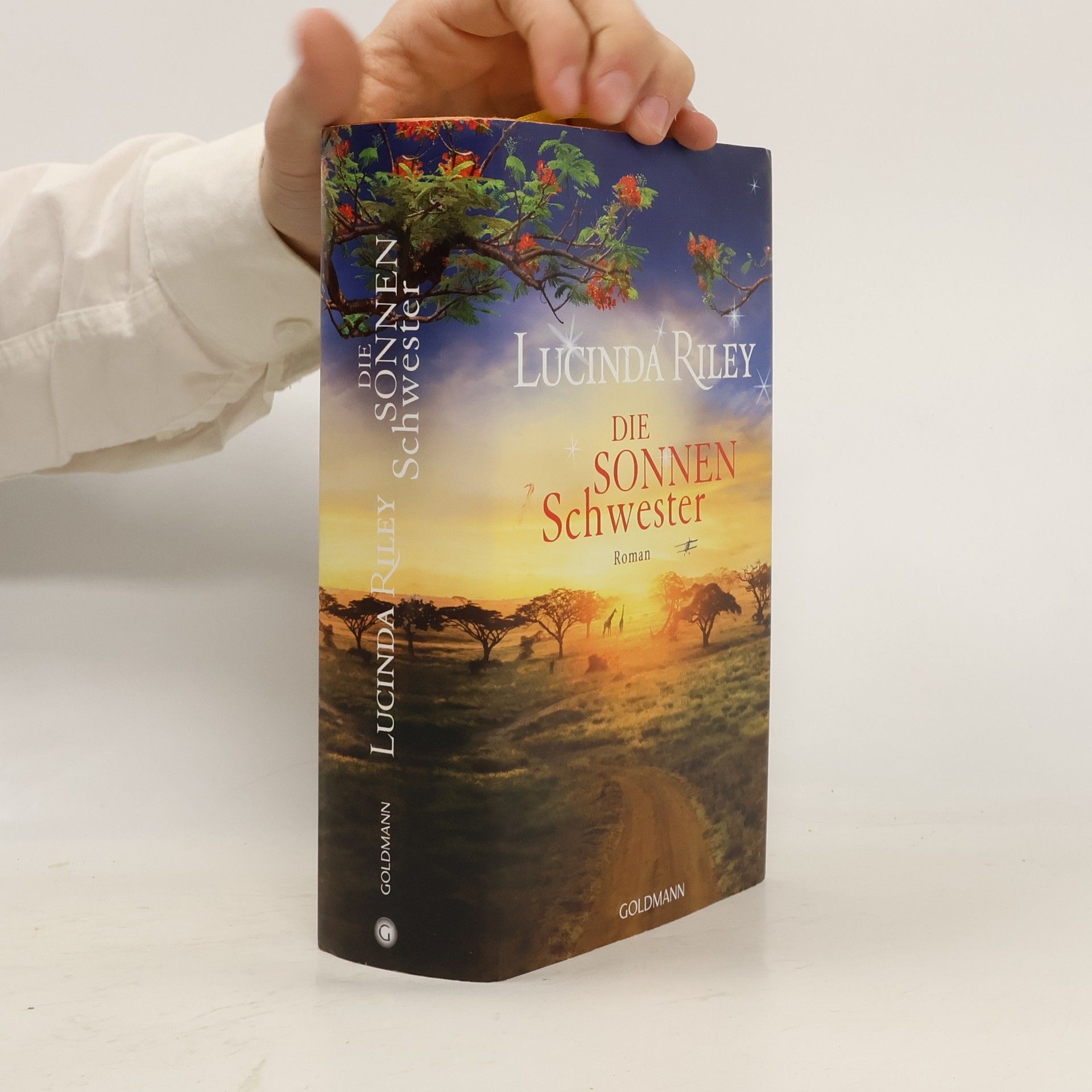 Lucinda Riley Die Sonnenschwester