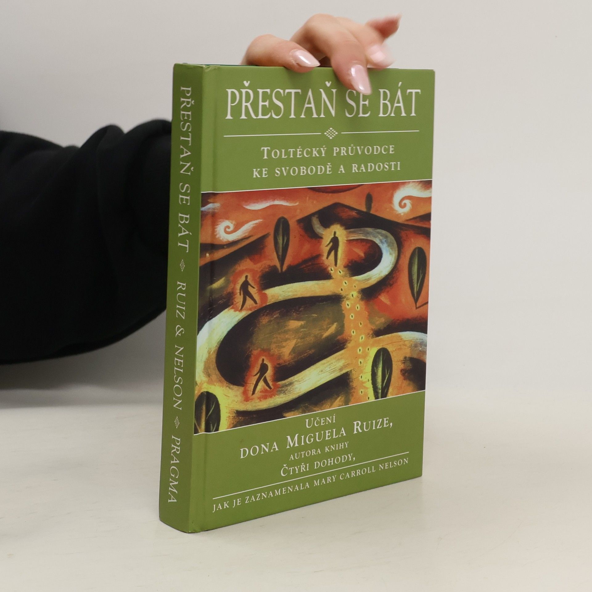 Mary Carroll Nelson Přestaň se bát