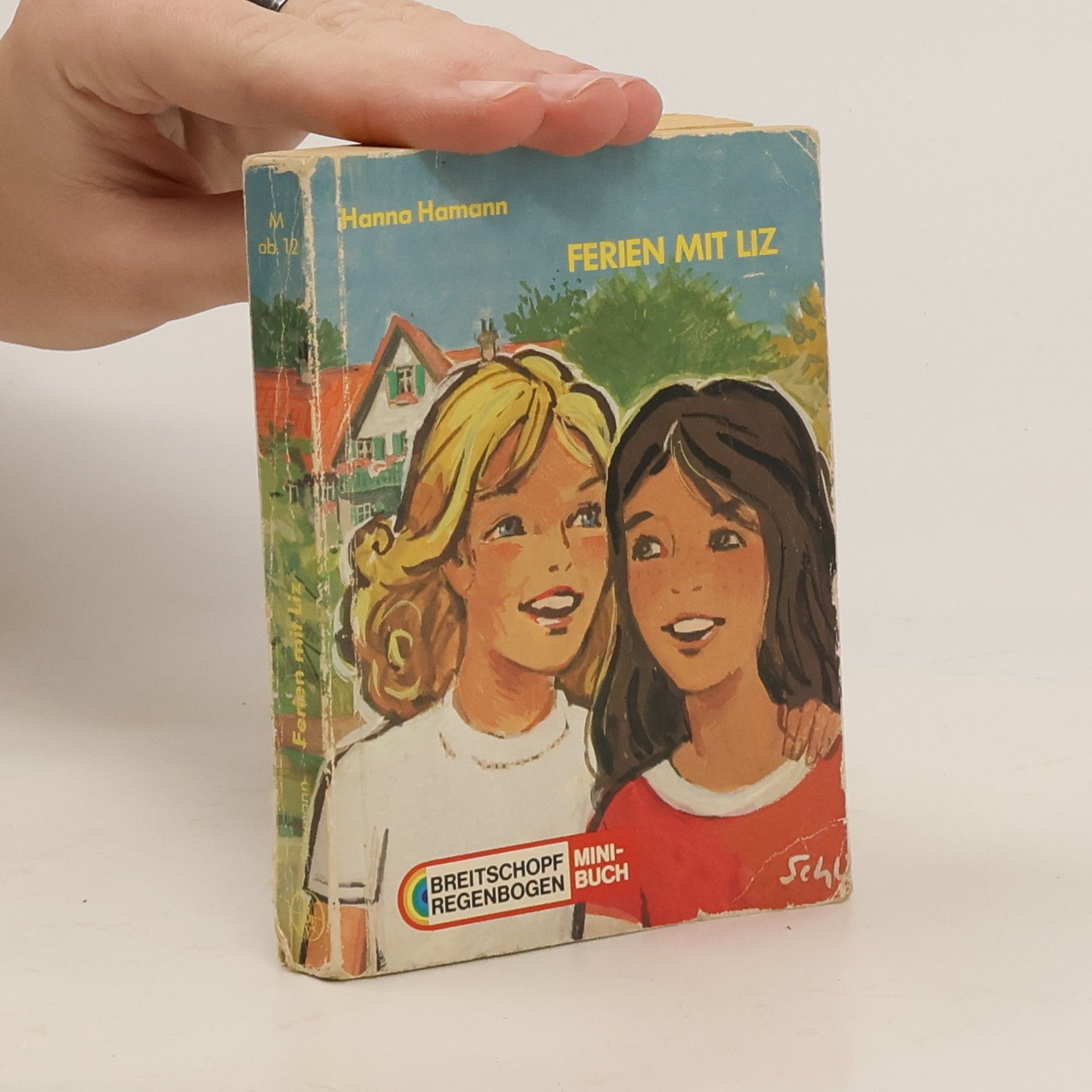 Regenbogen Mini-Buch: Ferien mit Liz