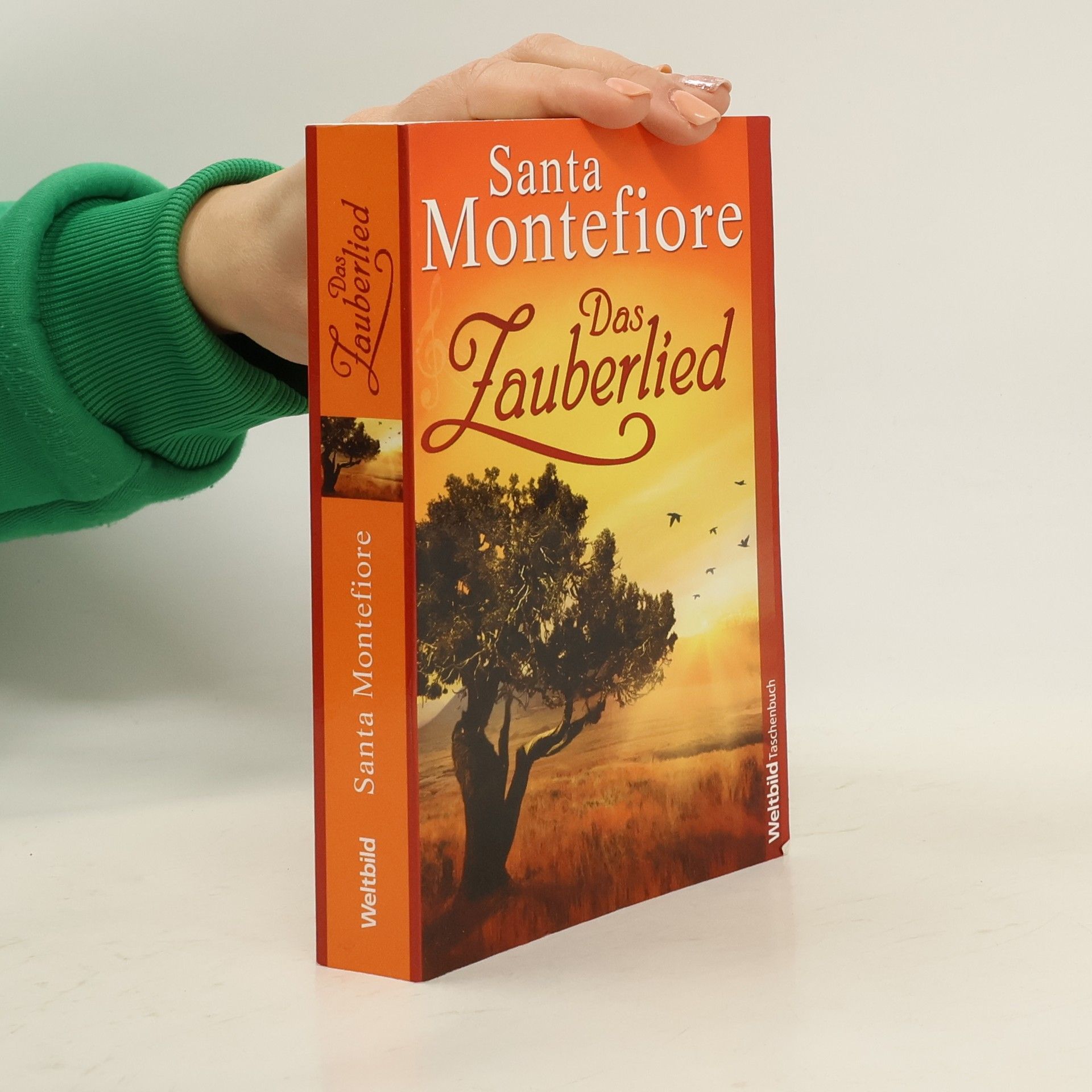 Santa Montefiore Das Zauberlied