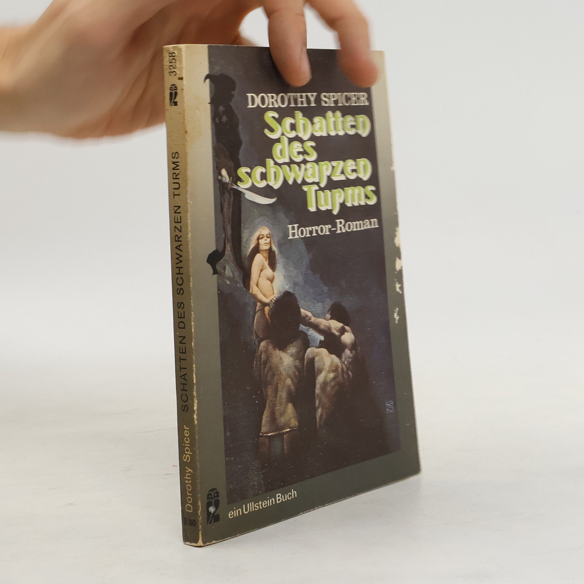 Dorothy Gladys Spicer Schatten des schwarzen Turms