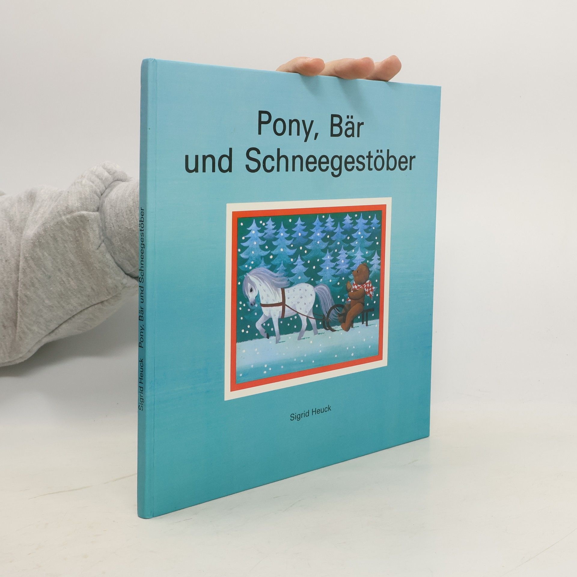 Sigrid Heuck Pony, Bär und Schneegestöber