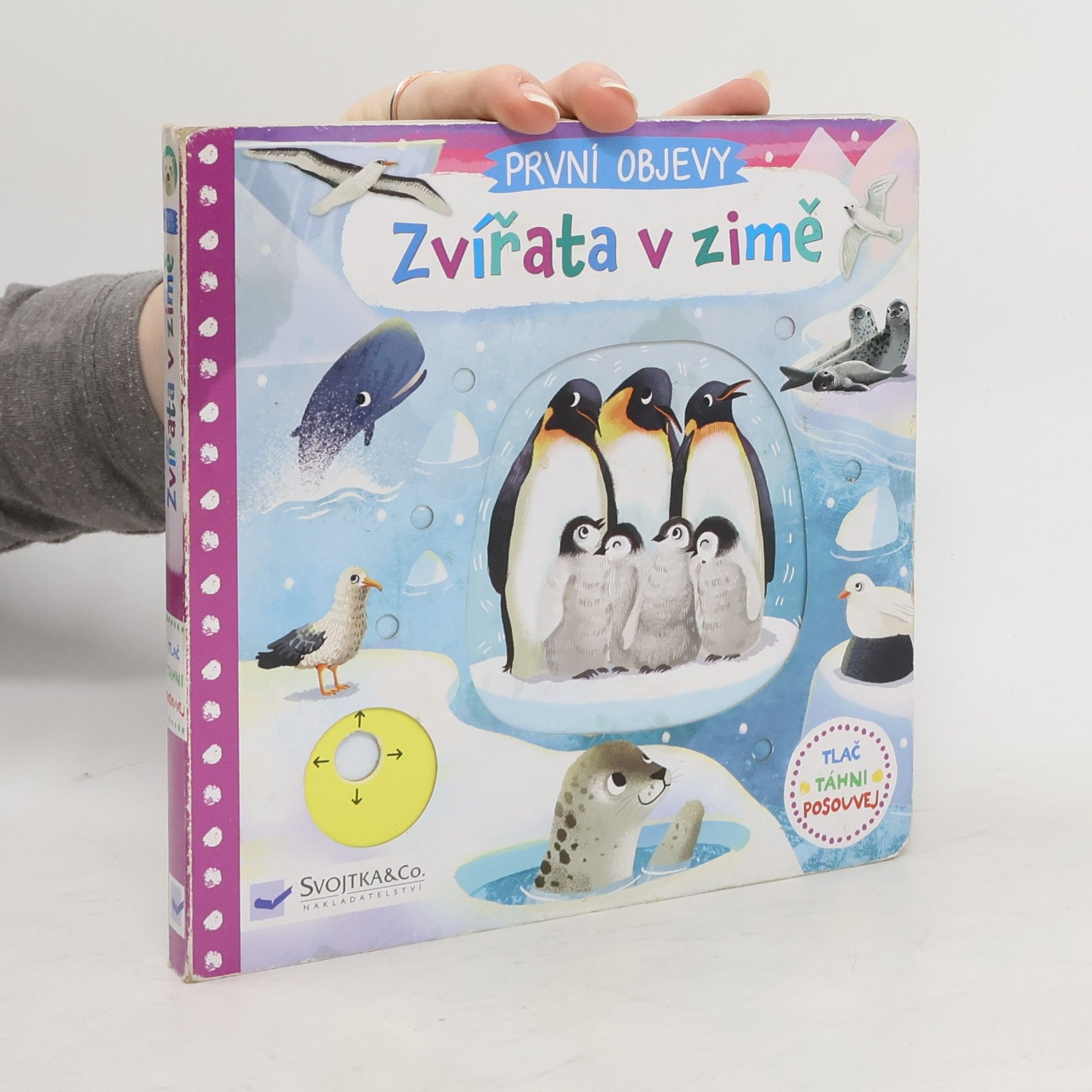 Jenny Wren První objevy: Zvířata v zimě
