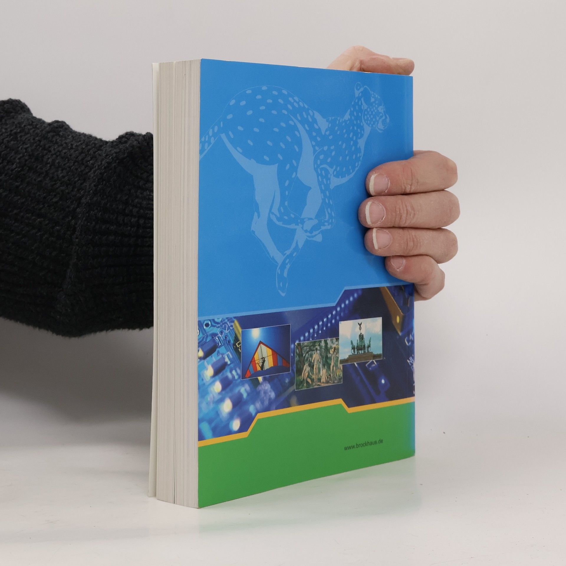 Autorenkollektiv Der Jugend Brockhaus in drei Bänden