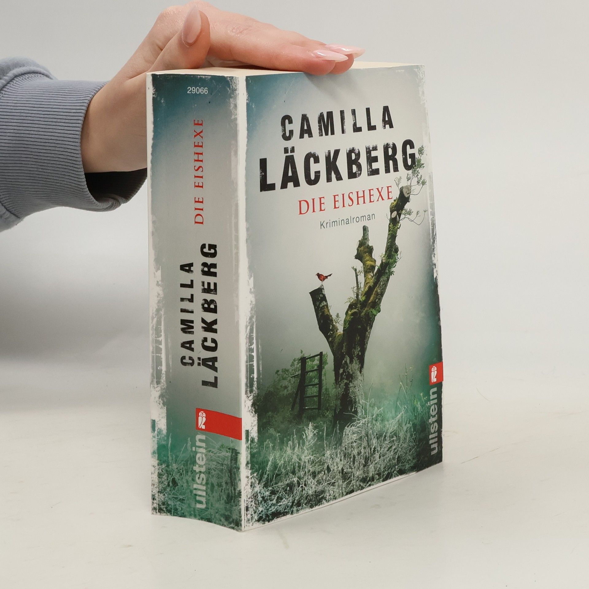 Camilla Läckberg Die Eishexe