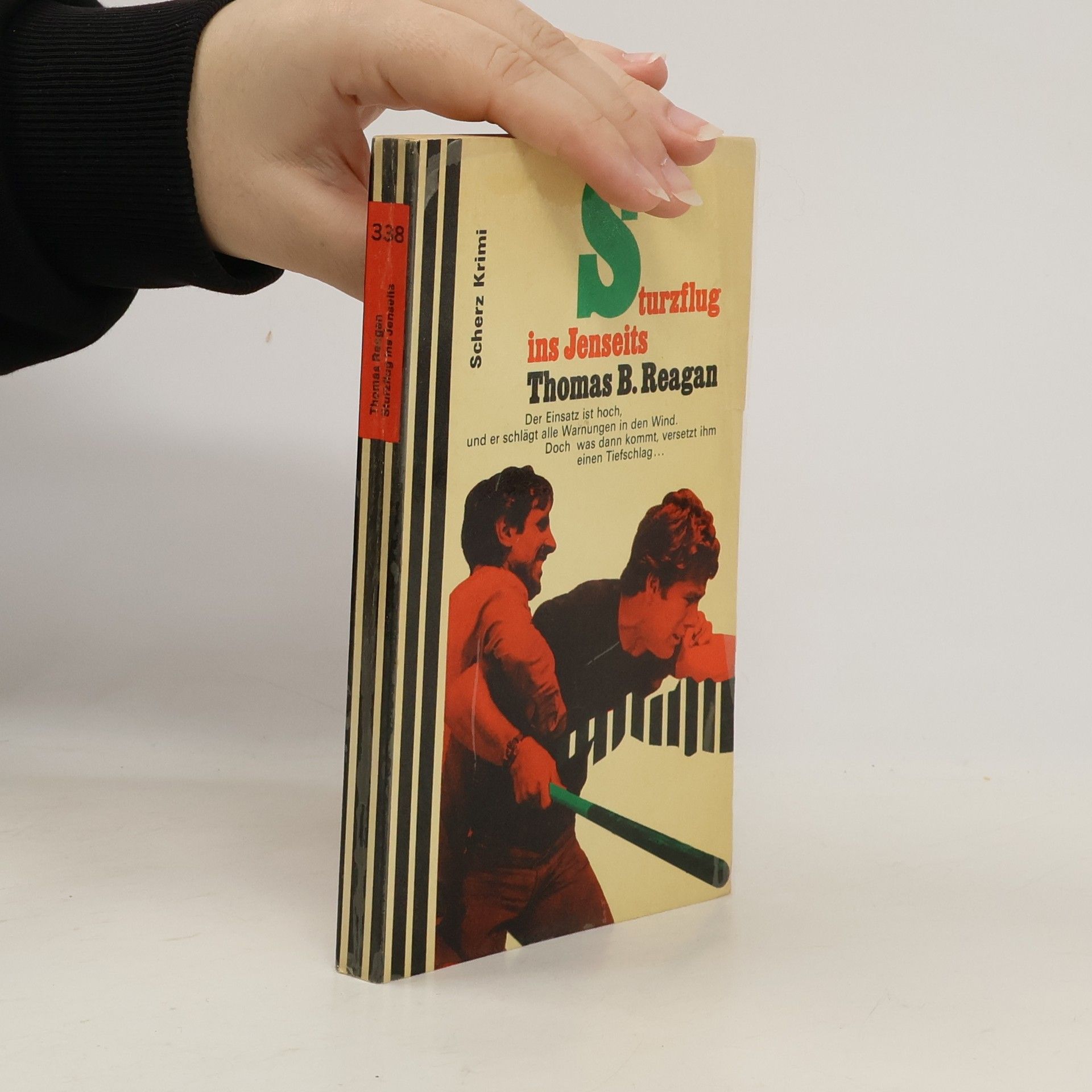 Sturzflug ins Jenseits