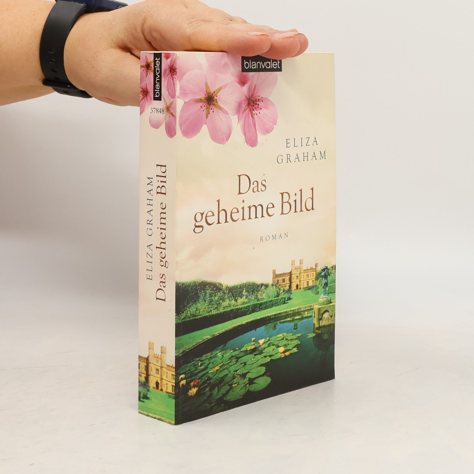 Eliza Graham Das geheime Bild