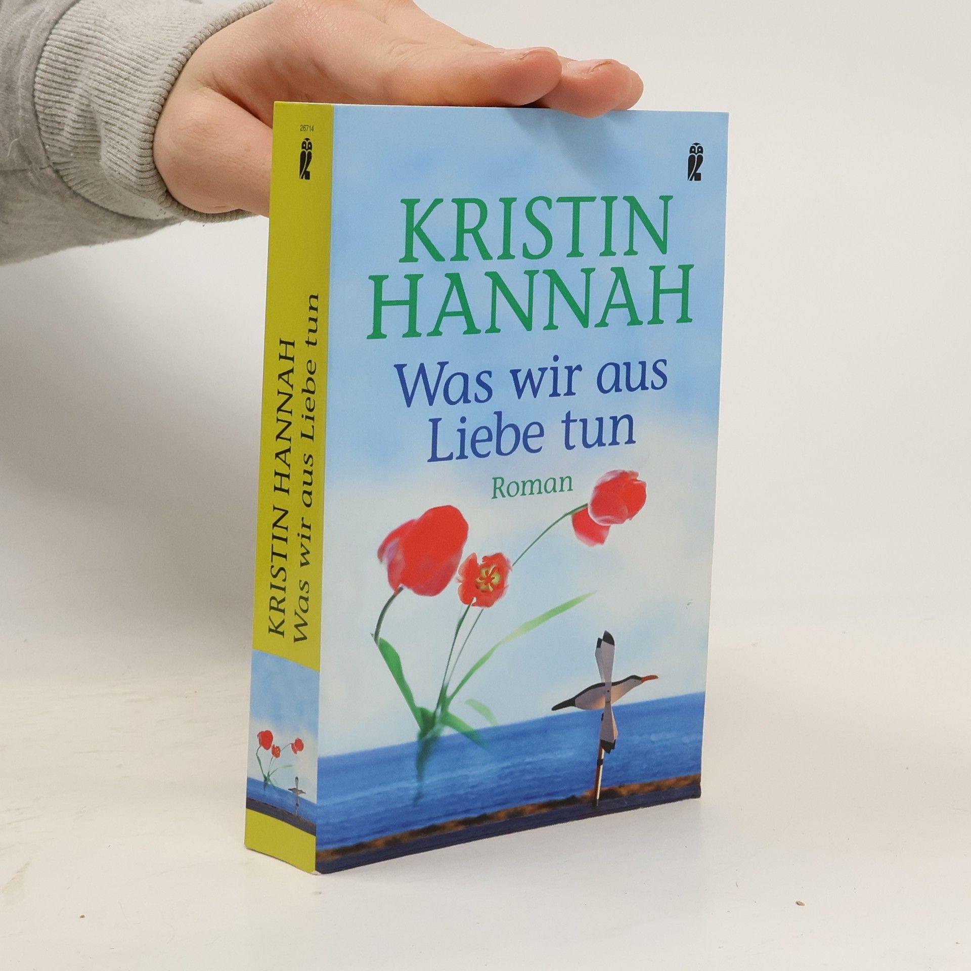 Kristin Hannah Was wir aus Liebe tun