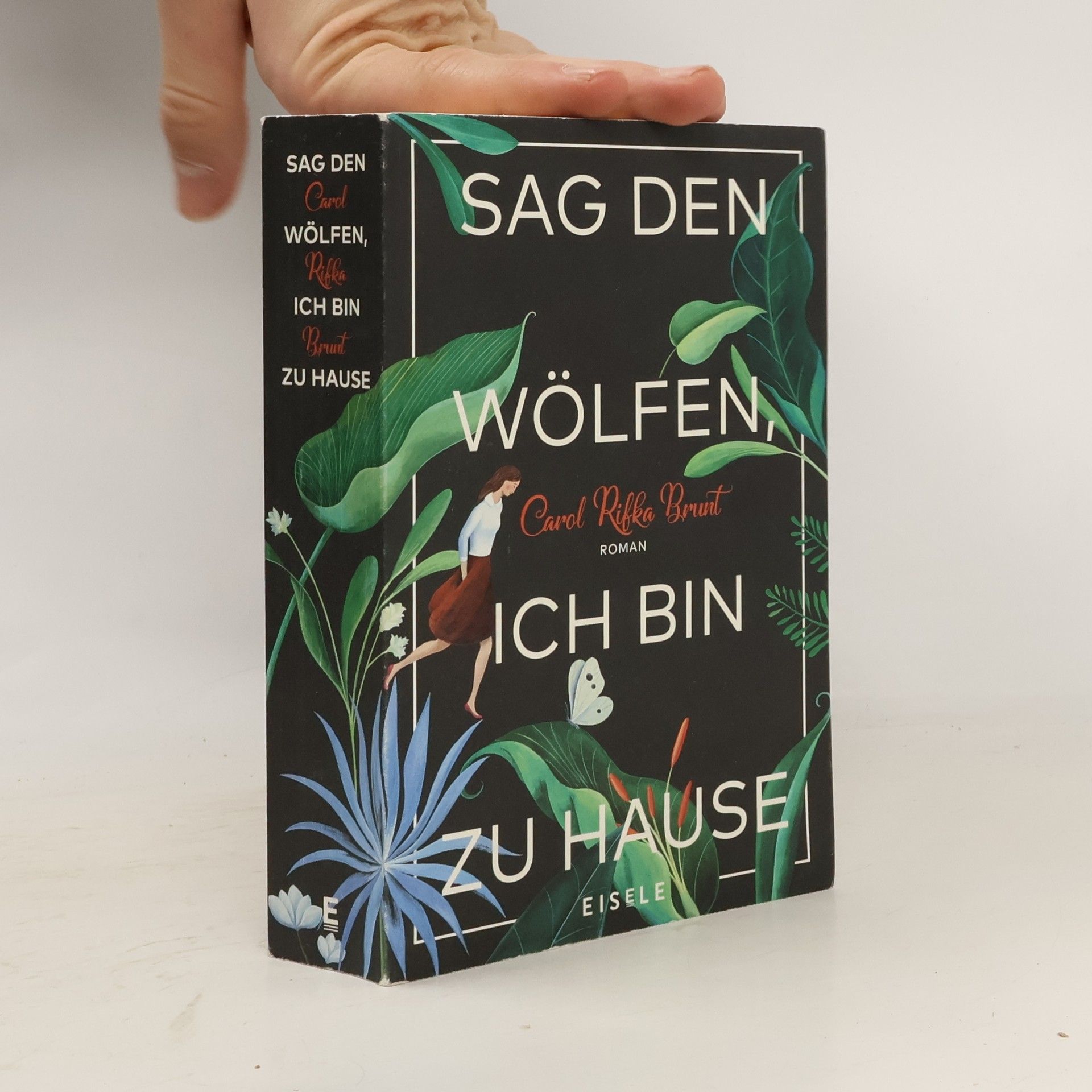 Carol Rifka Brunt Sag den Wölfen, ich bin zu Hause