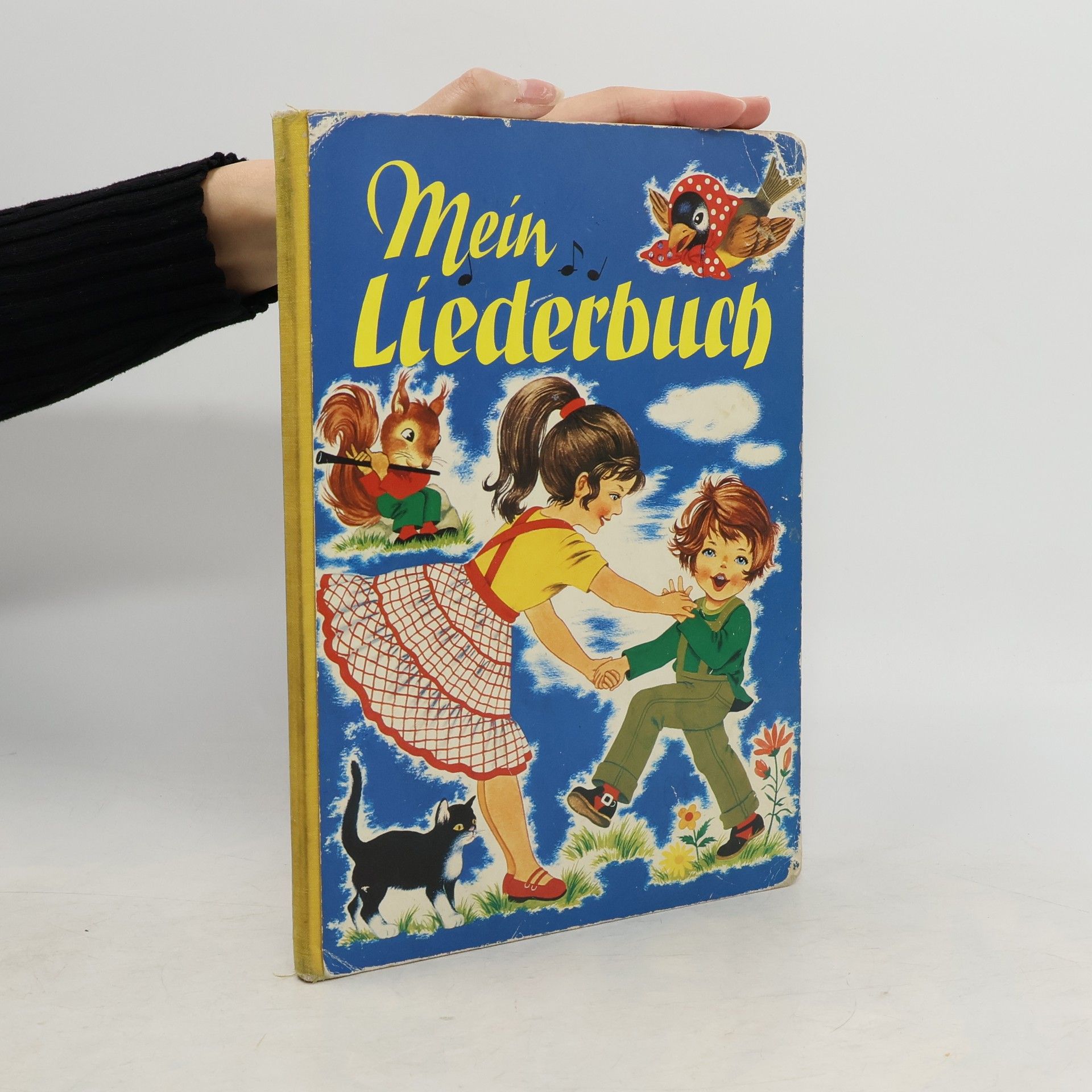 Auteurscollectief Mein Liederbuch