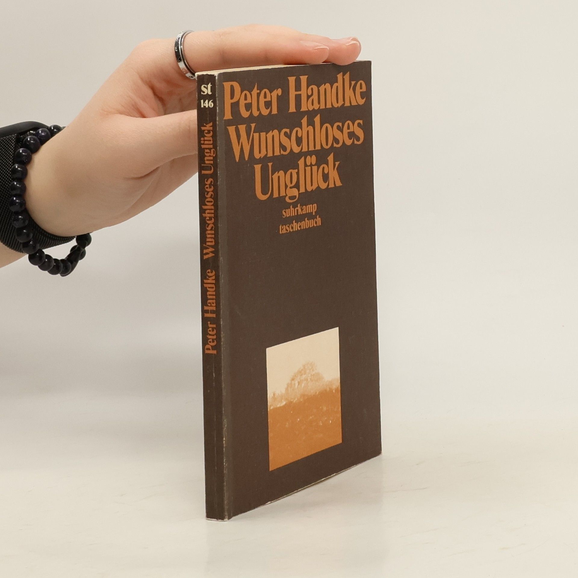 Peter Handke Wunschloses Unglück