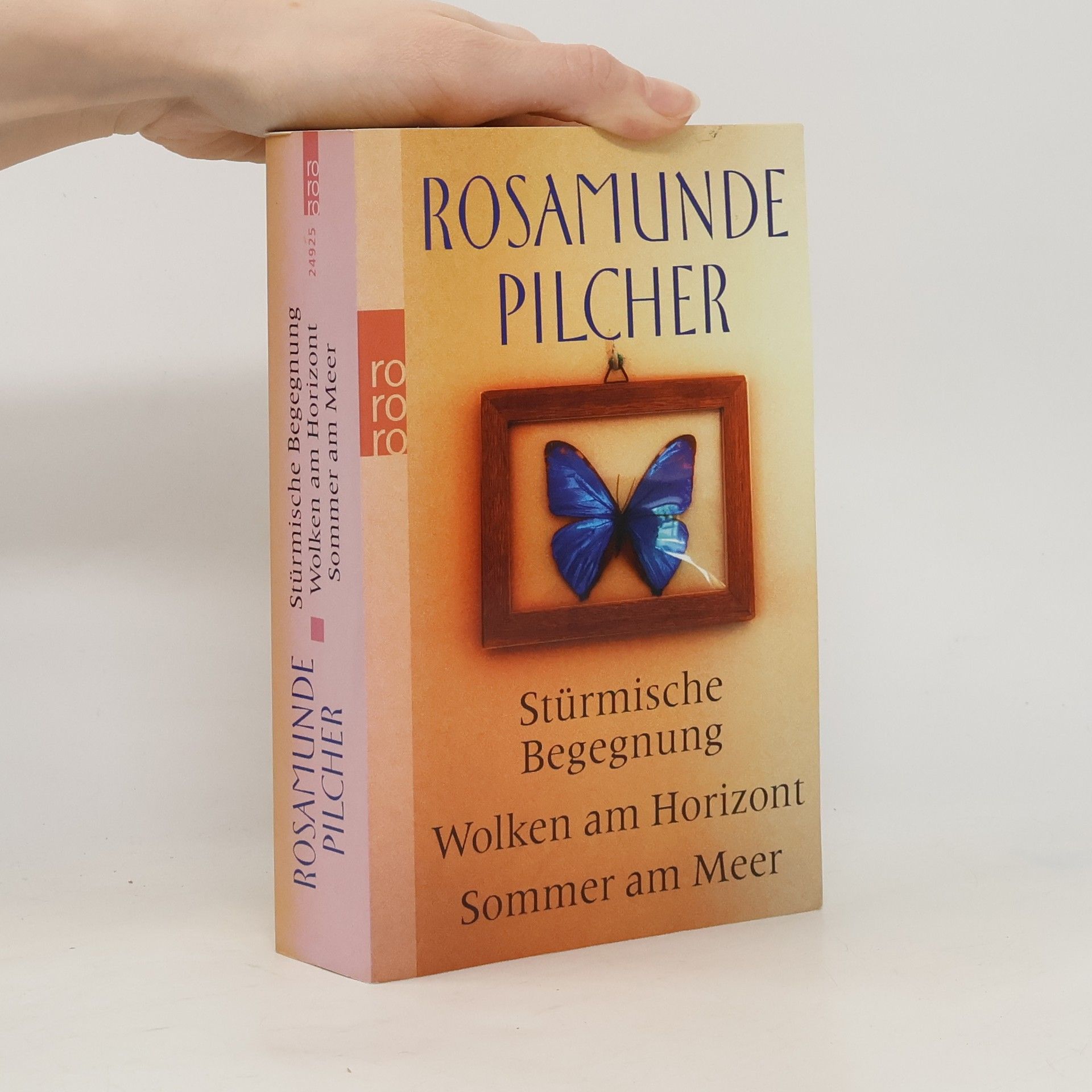Rosamunde Pilcher Stürmische Begegnung. Wolken am Horizont. Sommer am Meer. Drei Romane