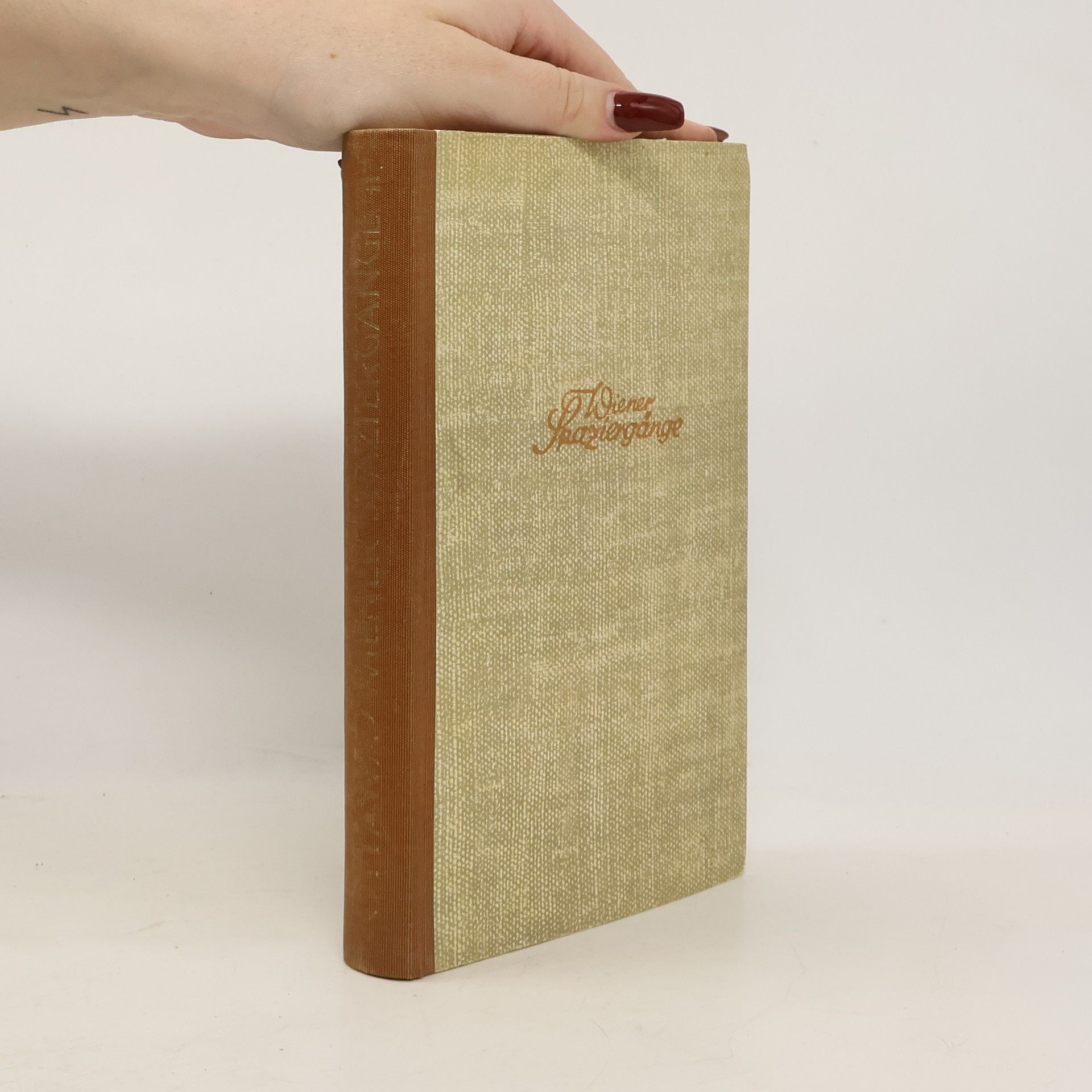 Theodor Ottawa Wiener Spaziergänge