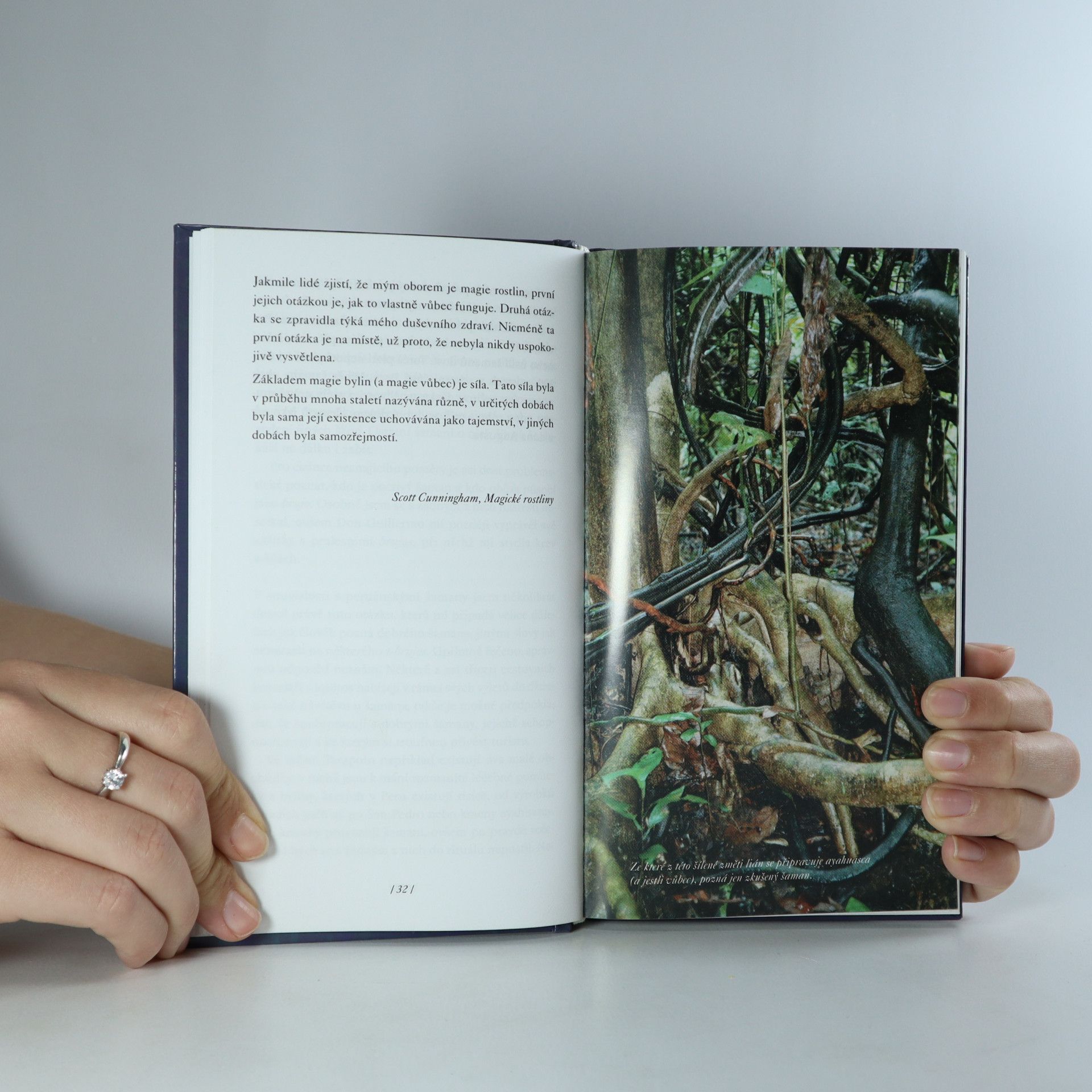 Jiří Kuchař Ayahuasca, aneb, Tanec s bohy