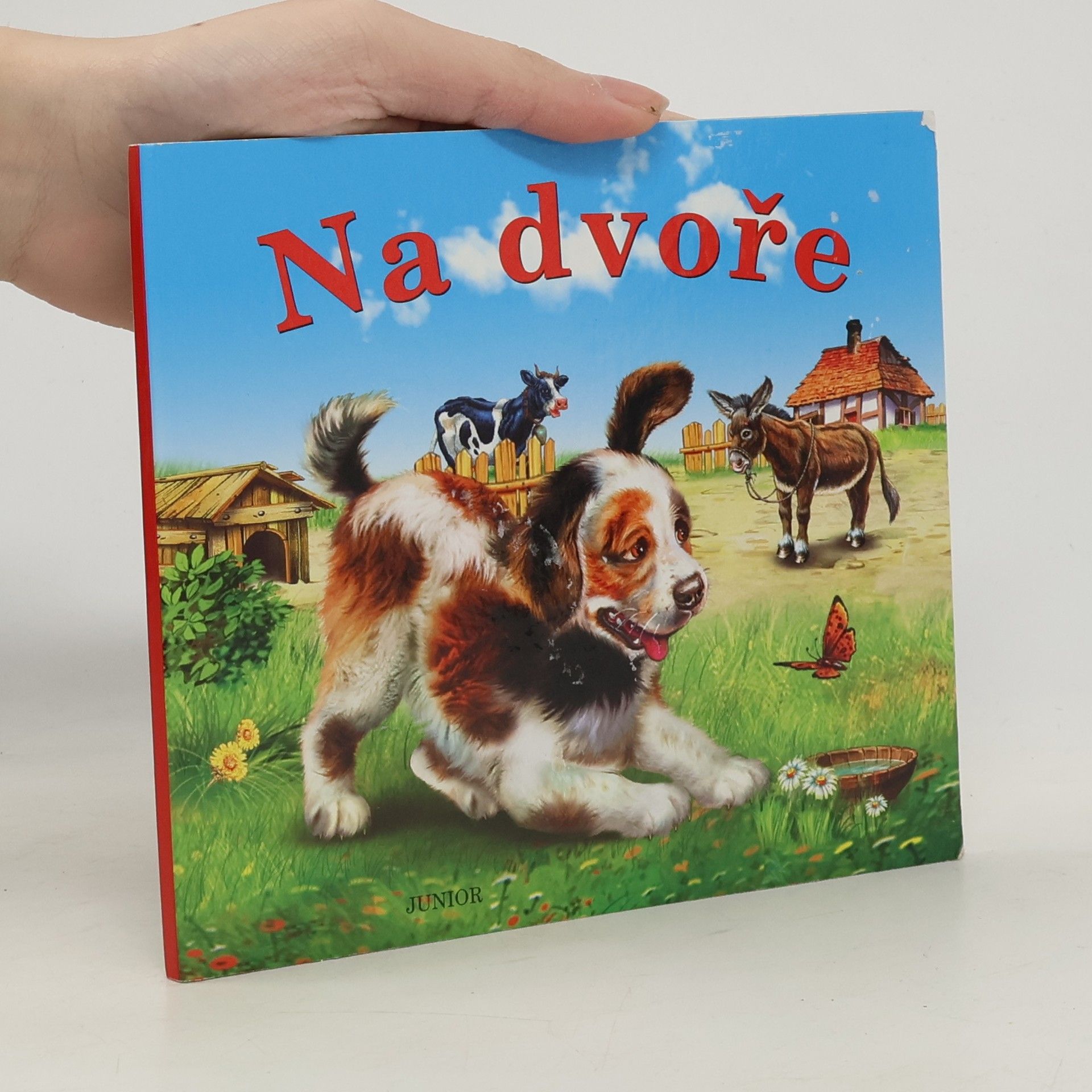 Zuzana Pospíšilová Na dvoře