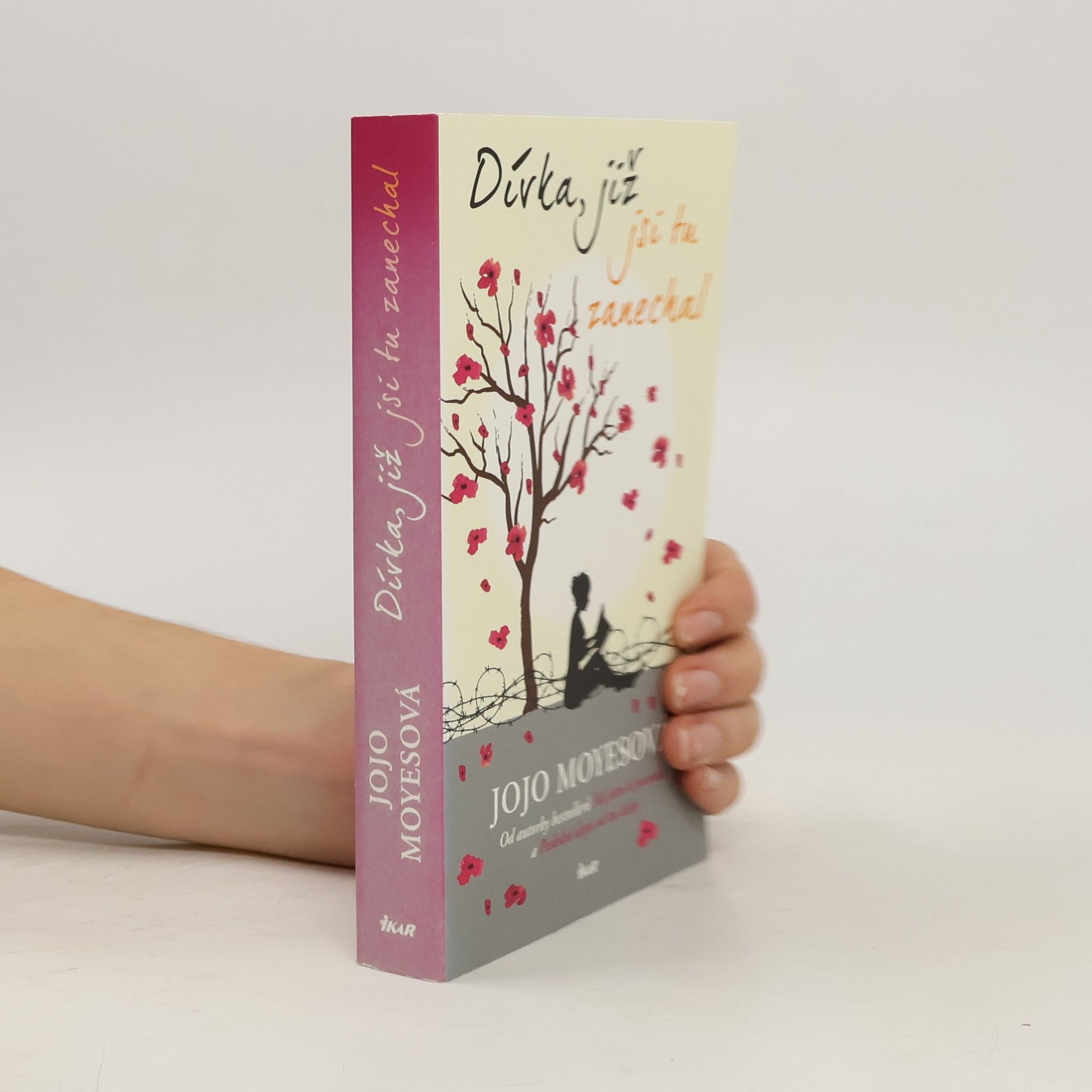 Jojo Moyes Dívka, již jsi tu zanechal