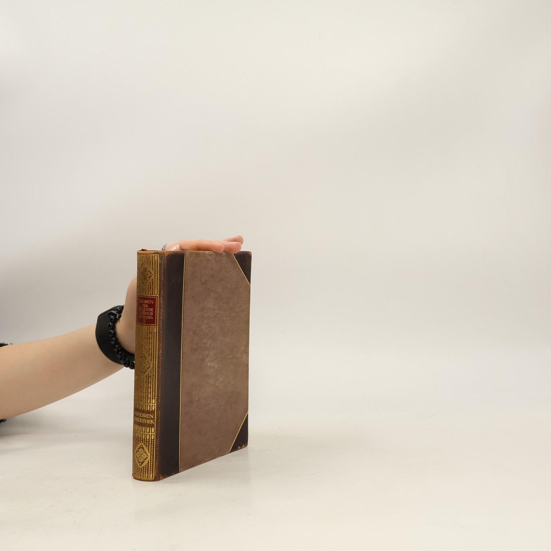 Collectif d'auteurs Der deutsche Lausbub in Amerika 2