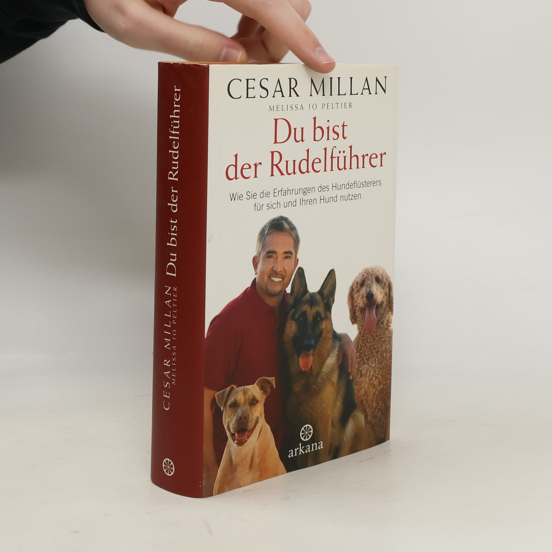 Cesar Millan Du bist der Rudelführer