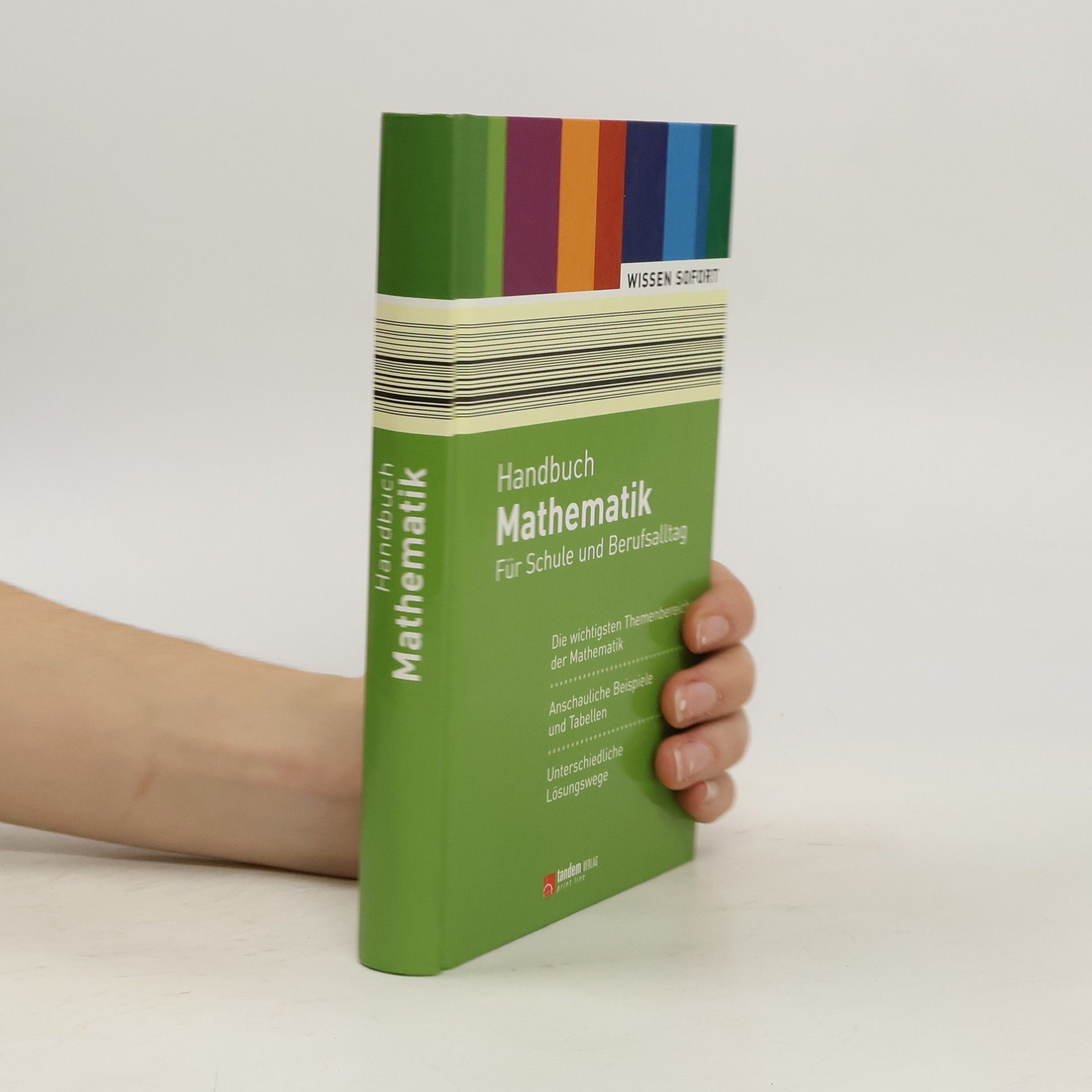 Autores varios Handbuch Mathematik. Für Schule und Berufsalltag