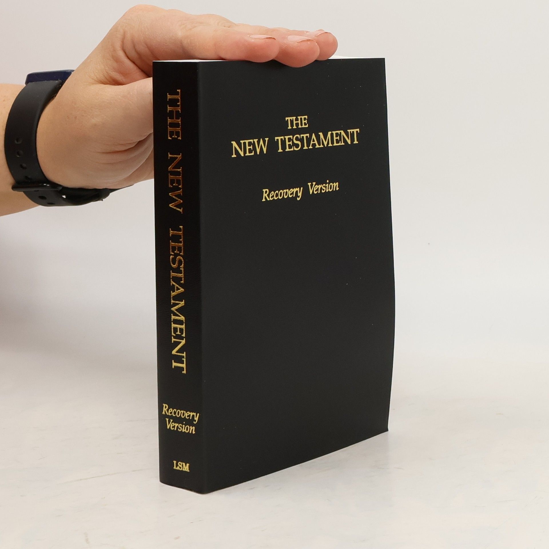 Kolektiv autorů The New Testament. Recovery Version