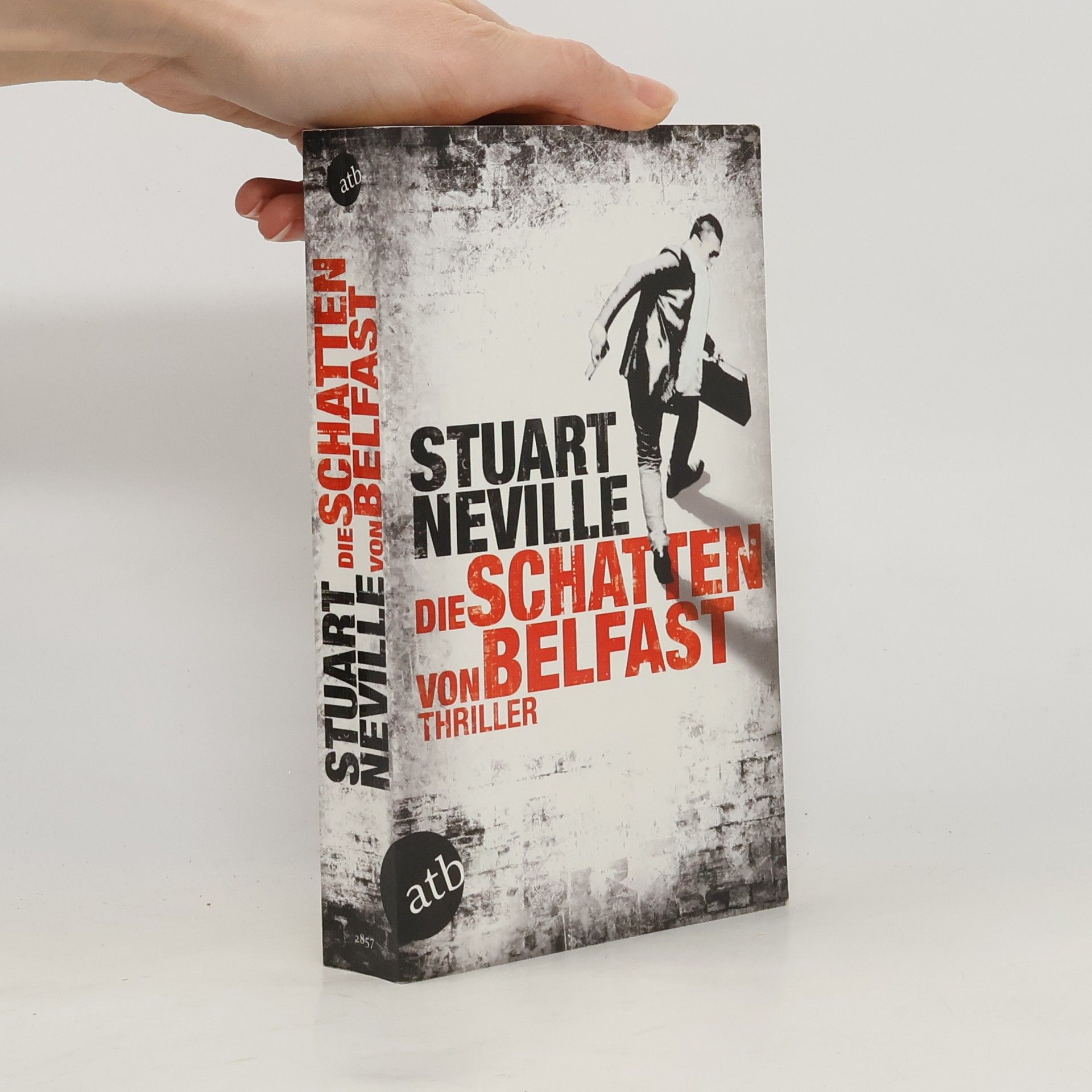 Stuart Neville Die Schatten von Belfast