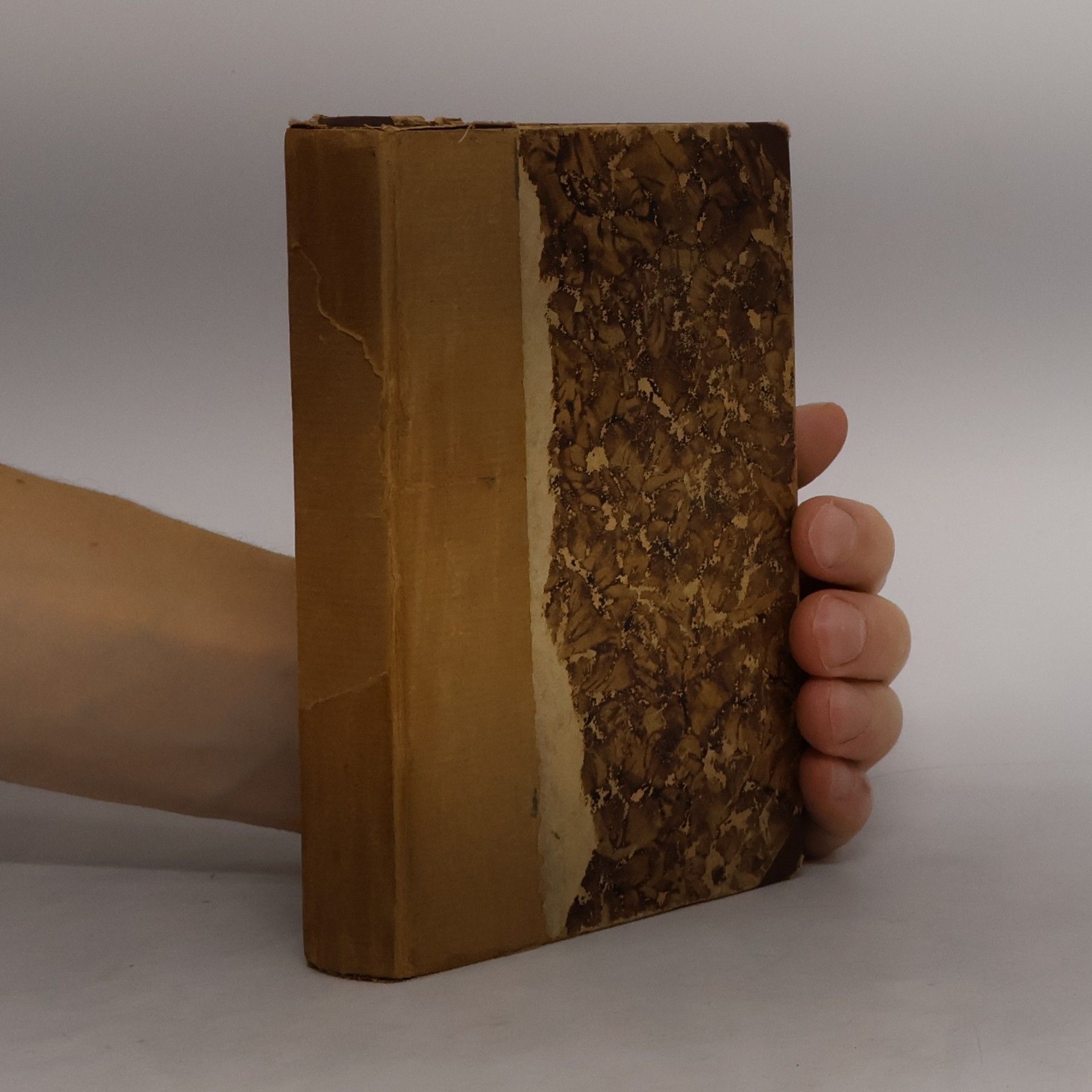 Pražská čarodějka I.