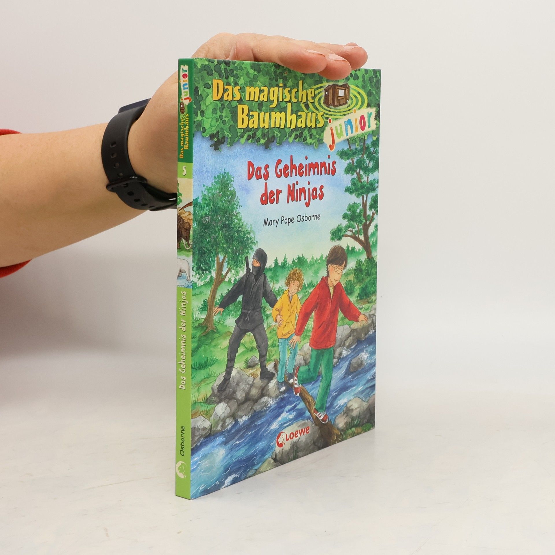 Das Geheimnis der Ninjas