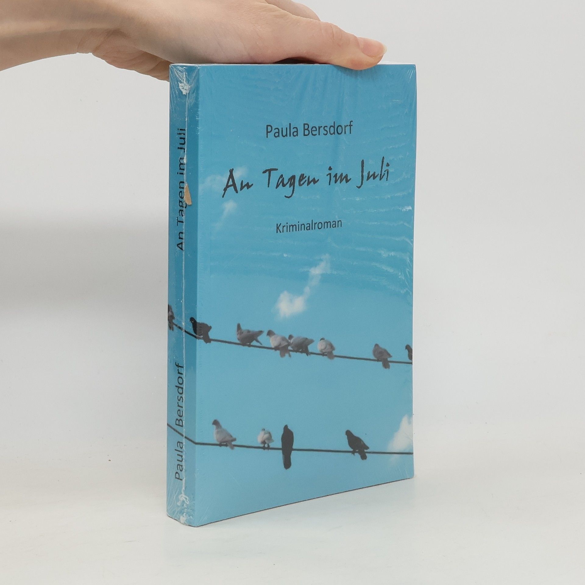 Paula Bersdorf An Tagen im Juli